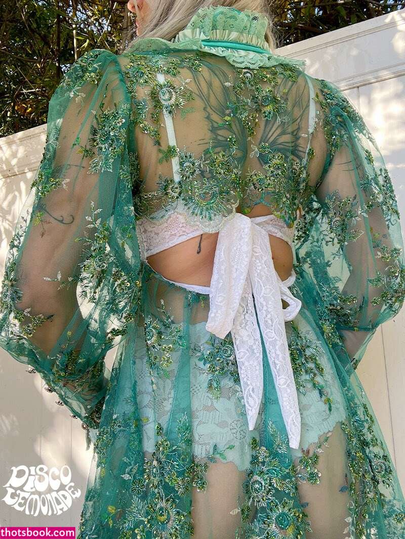 thatfairylem discolem discolemonade vanishingfae Nude Leaks OnlyFans Photos #2 1456396