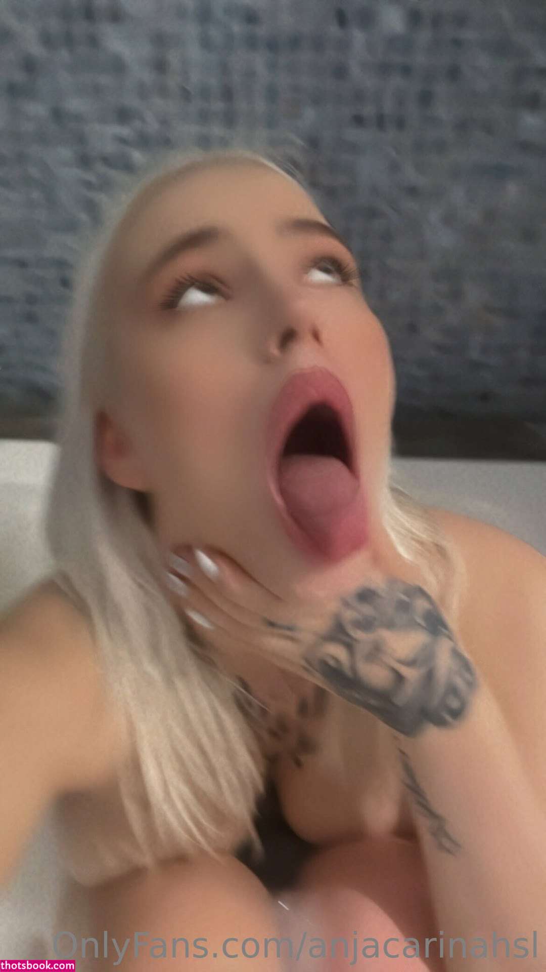 AnjaCarina Nude Leaks OnlyFans Photos #3 1493797