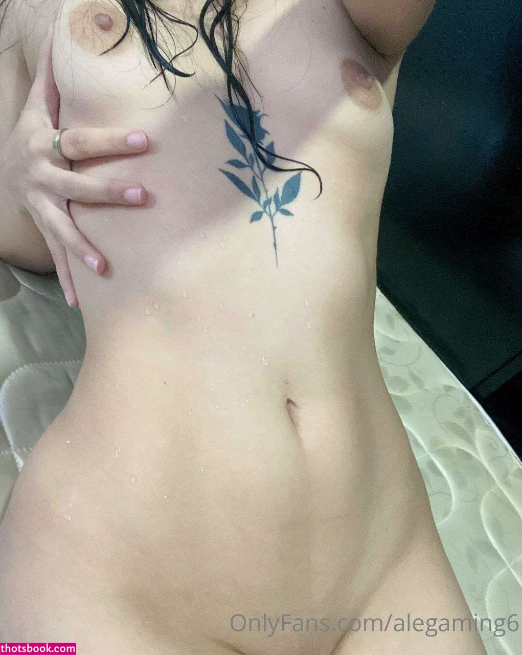 alegaming6 Nude Leaks OnlyFans Photos #5 1501748