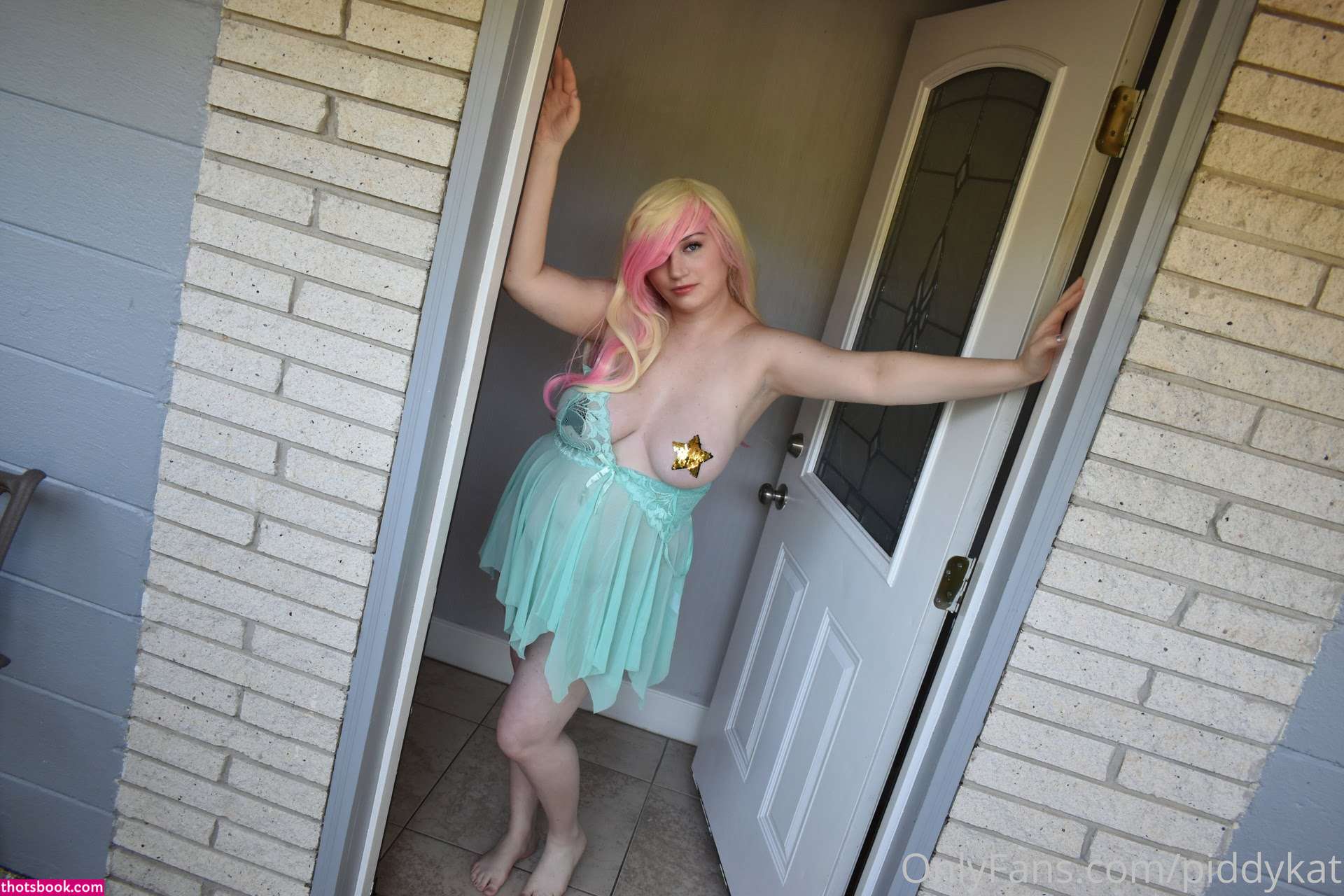 PiddyKat Nude Leaks OnlyFans Photos #4 1487388