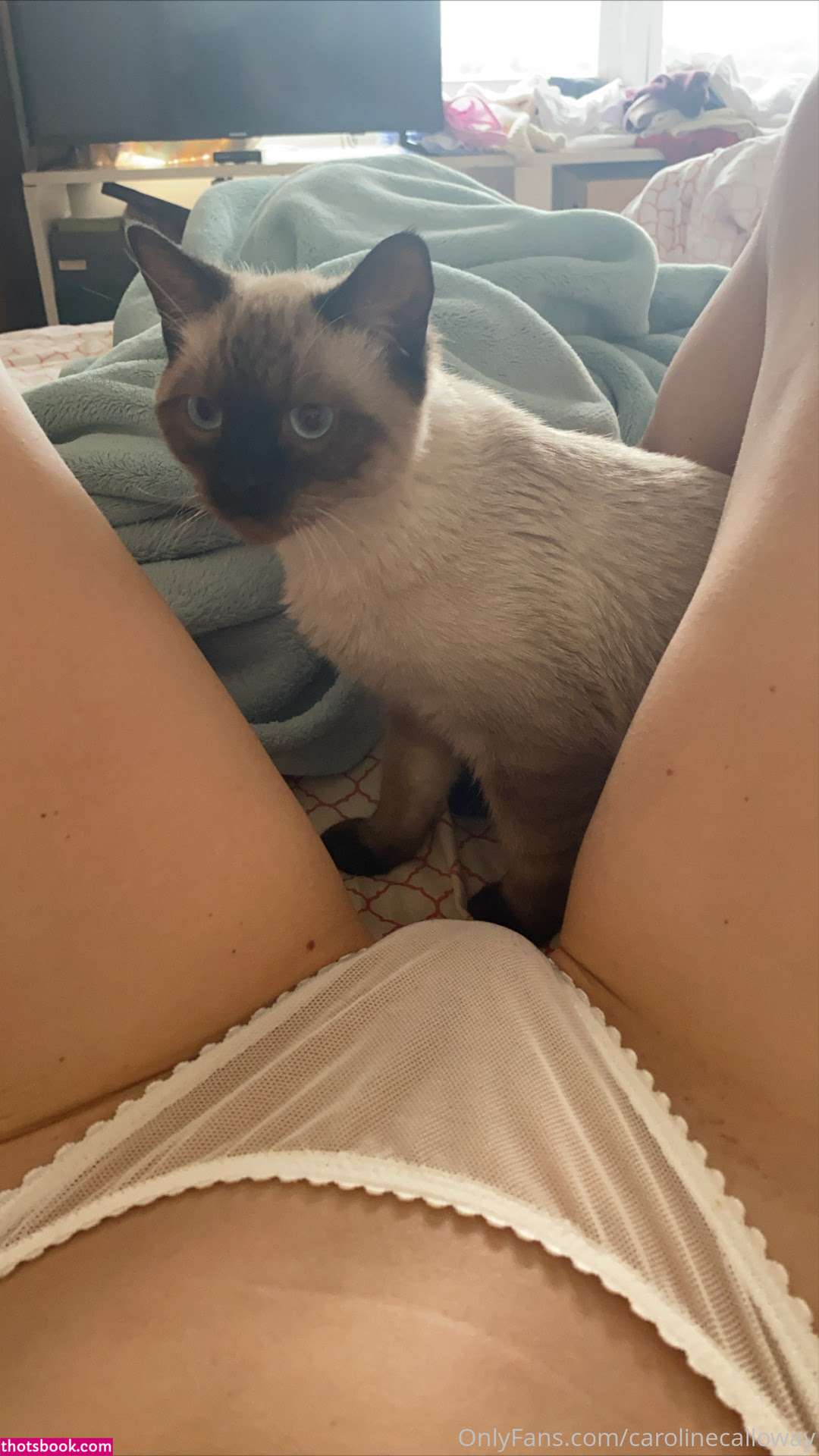 caroline calloway Nude Leaks OnlyFans Photos #4 1499664