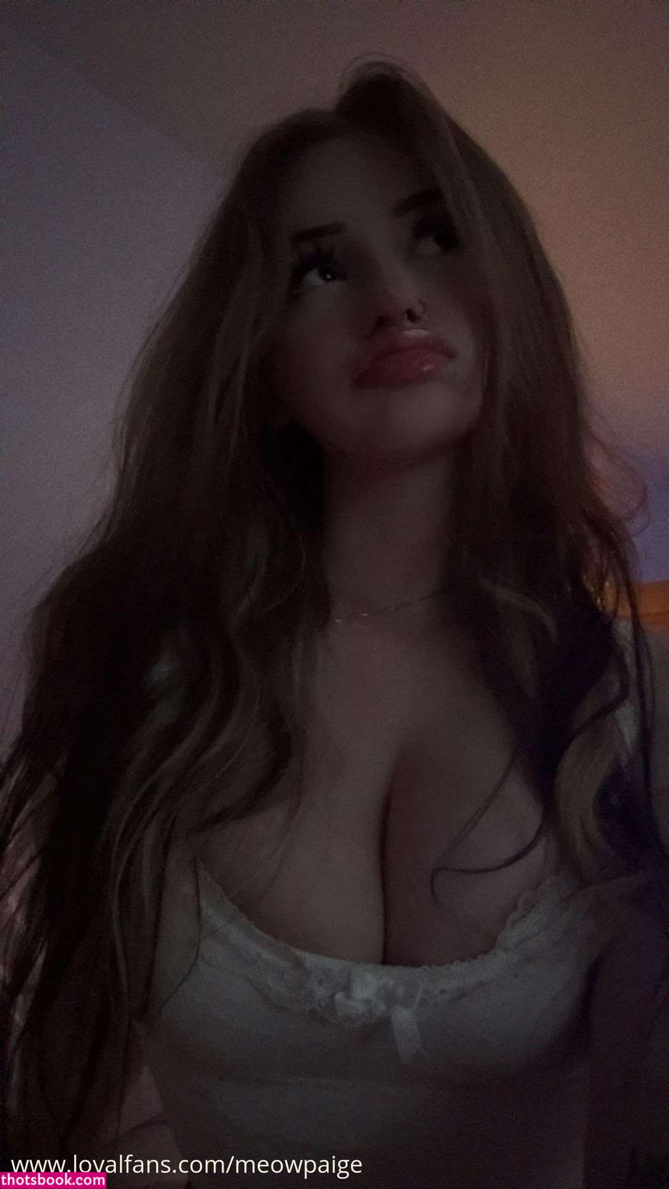 Meowpaige Nude Leaks OnlyFans Photos #1 1952180