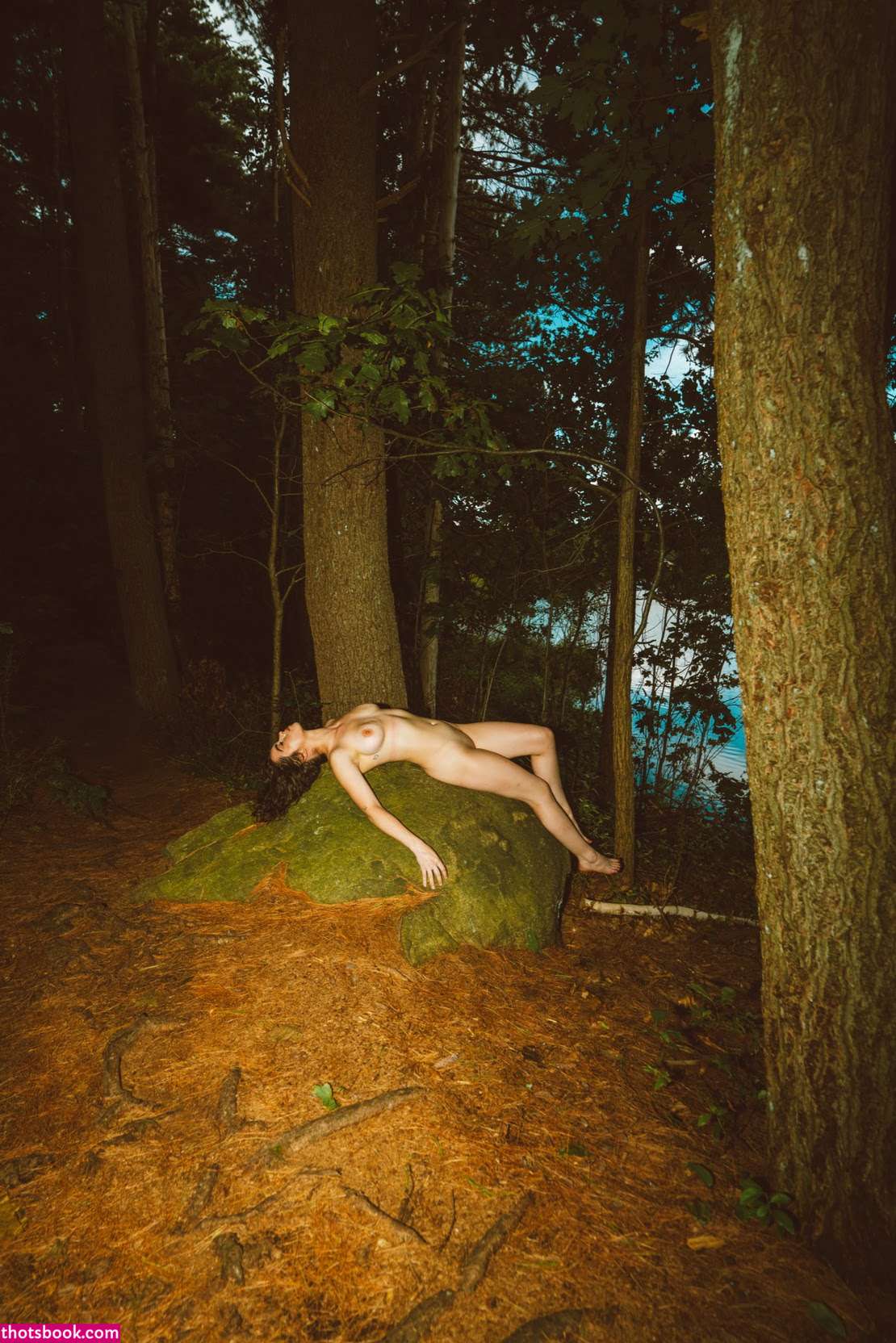 bendynakedhipp HippUncensored Nude Leaks Onlyfans Photos #2 1945851