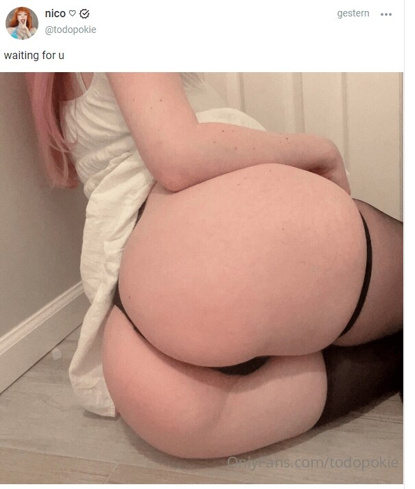 Todopokie Onlyfans Leaked Pictures 120108