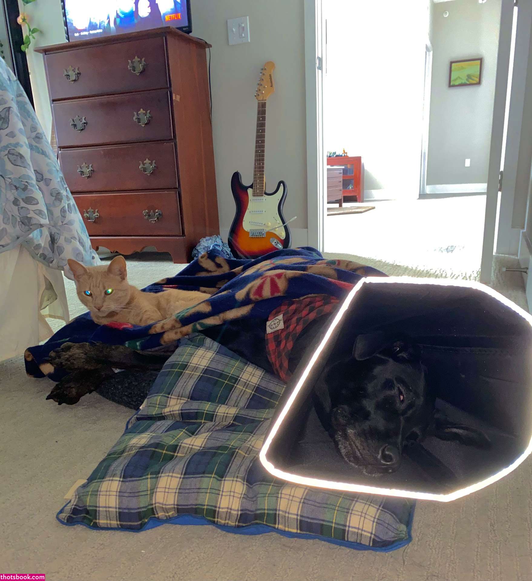 Woahhannahjo OnlyFans Photos #11 179564