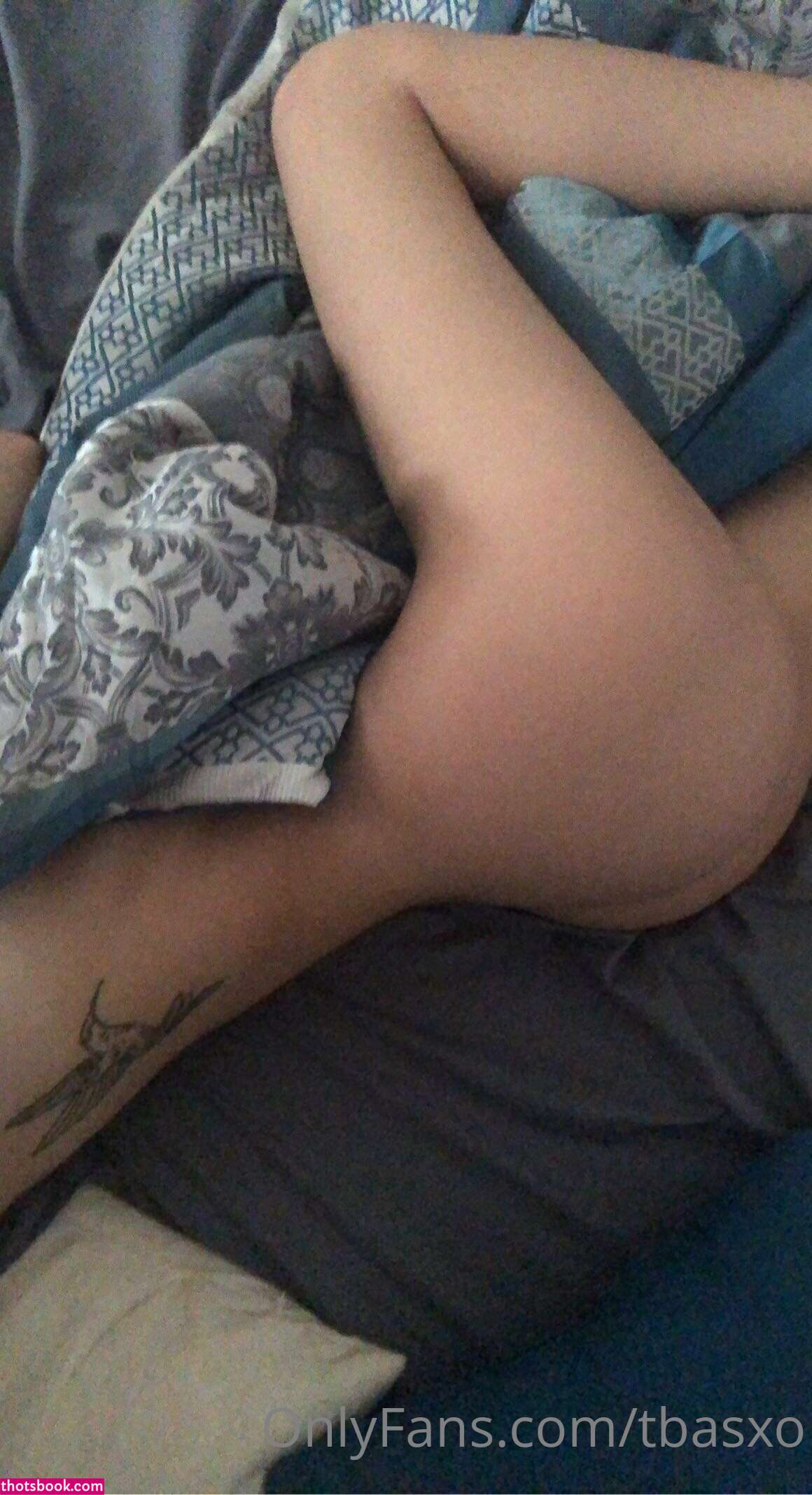 Tiana Basden tbasxo Nude OnlyFans Photos #4 754344