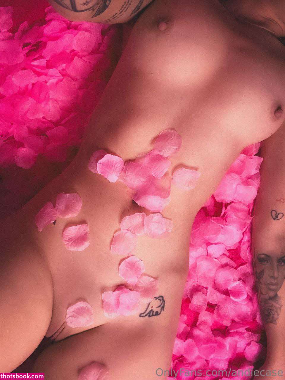 Andie Case Nude OnlyFans Photos #32 775139