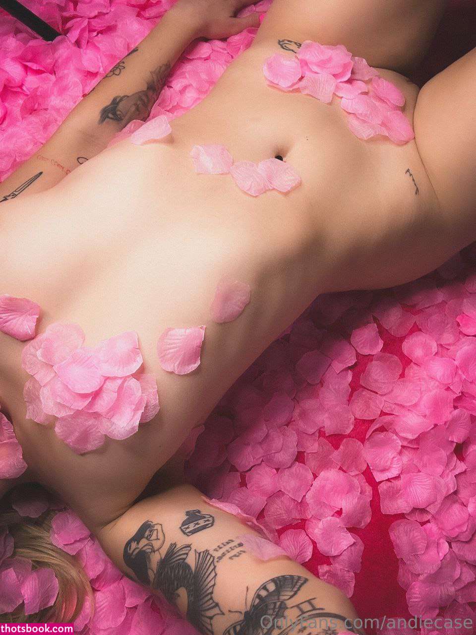 Andie Case Nude OnlyFans Photos #32 775148