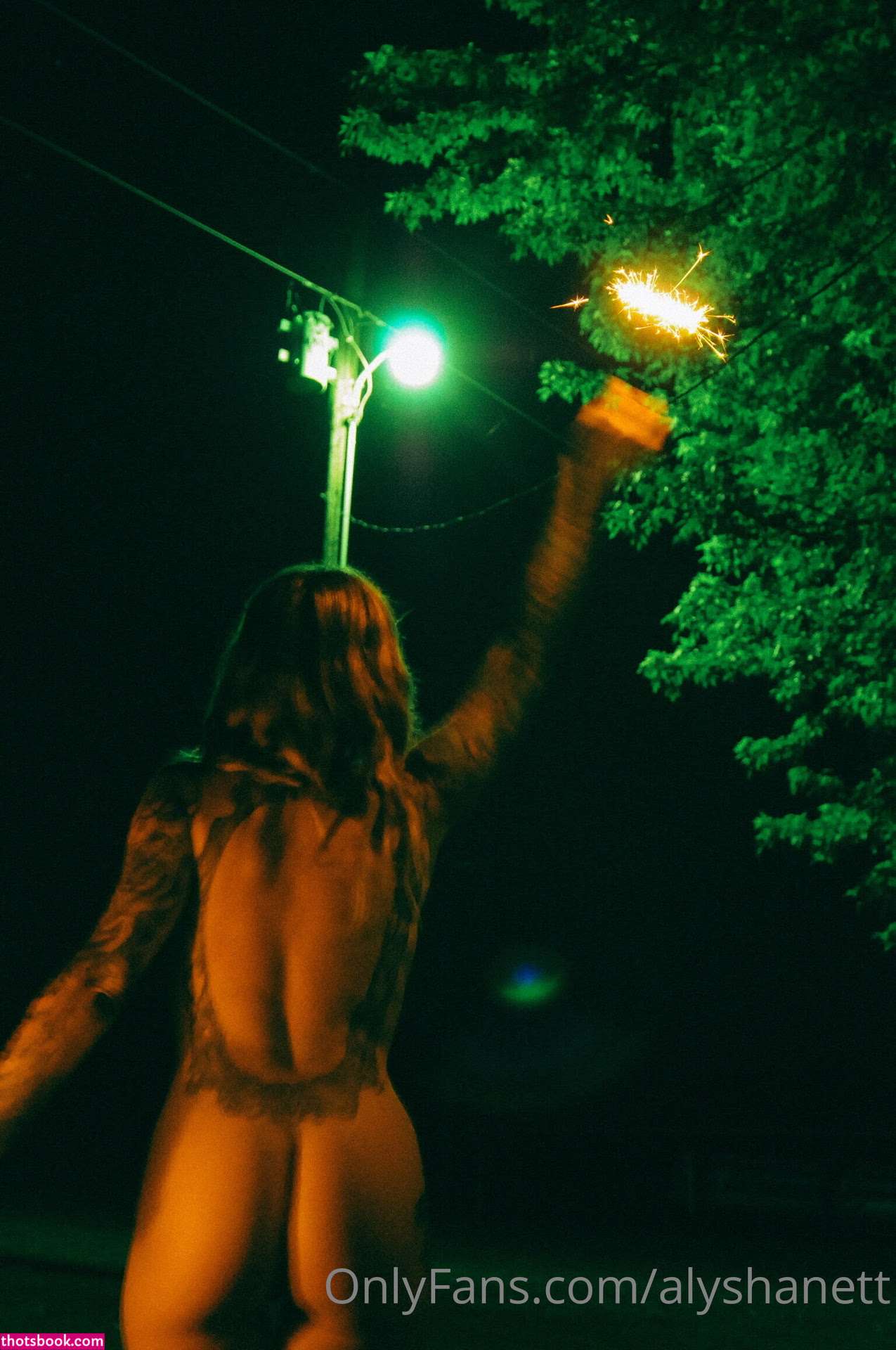 Alysha Nett Nude OnlyFans Photos #3 758193
