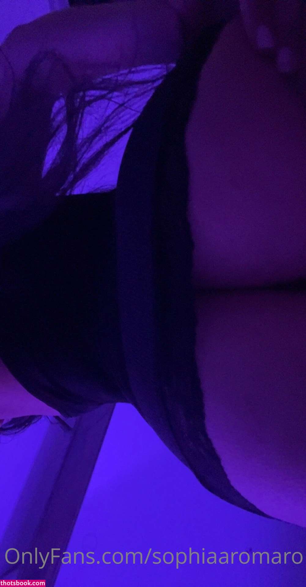 Sophia Romaro Nude OnlyFans Photos #1 759681