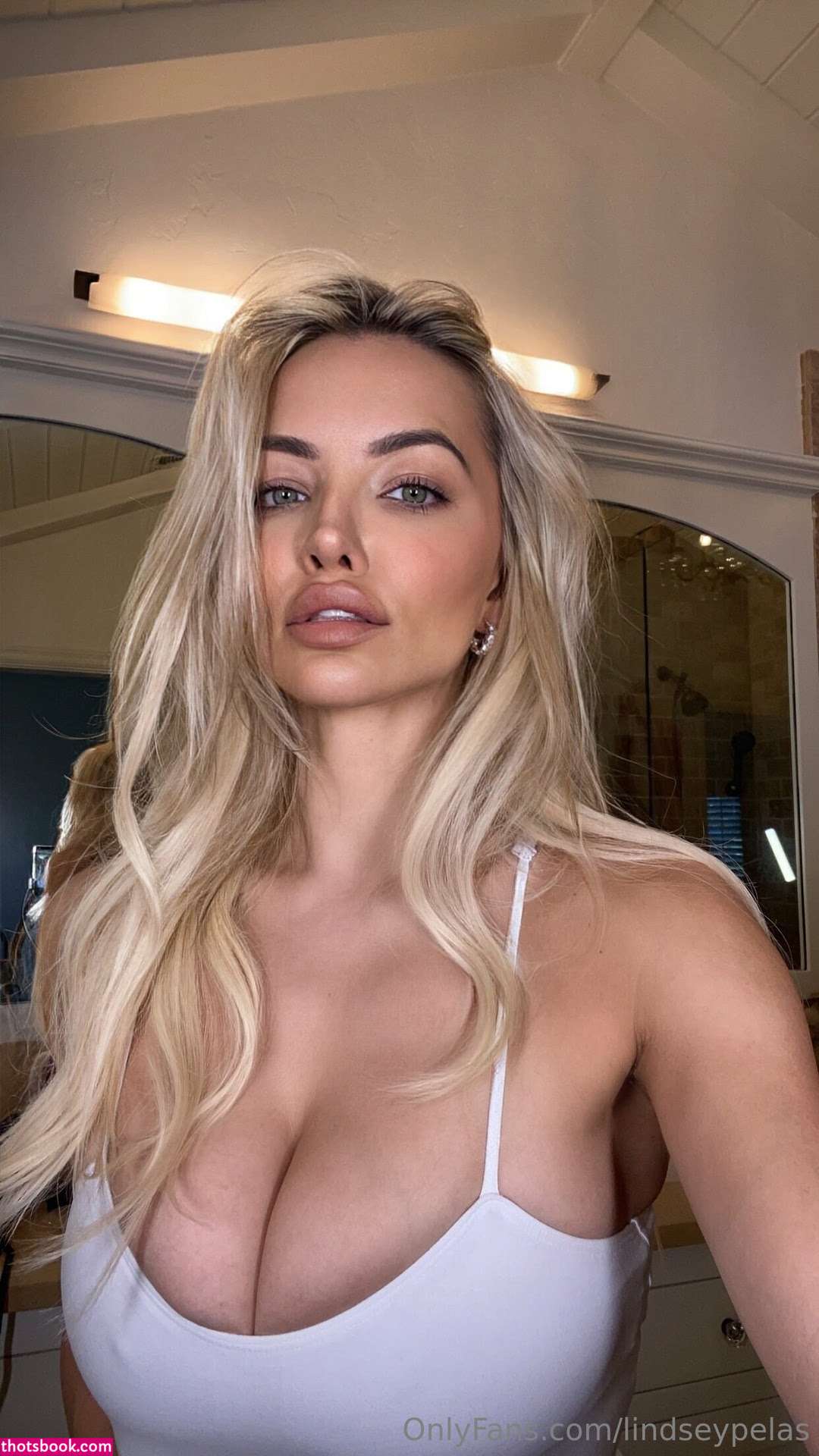Lindsey Pelas Nude OnlyFans Photos #74 812627