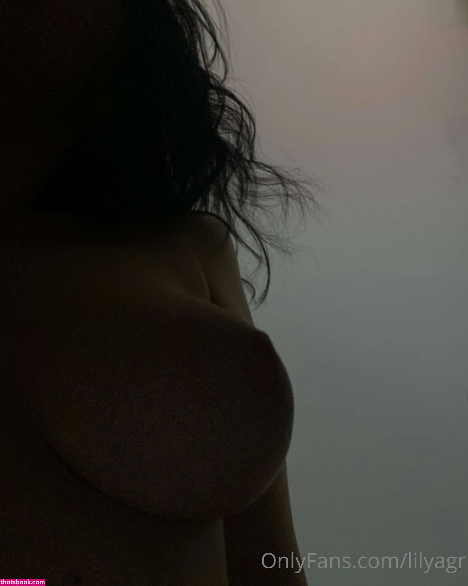 Lilyagr Nude OnlyFans Photos #1 764741