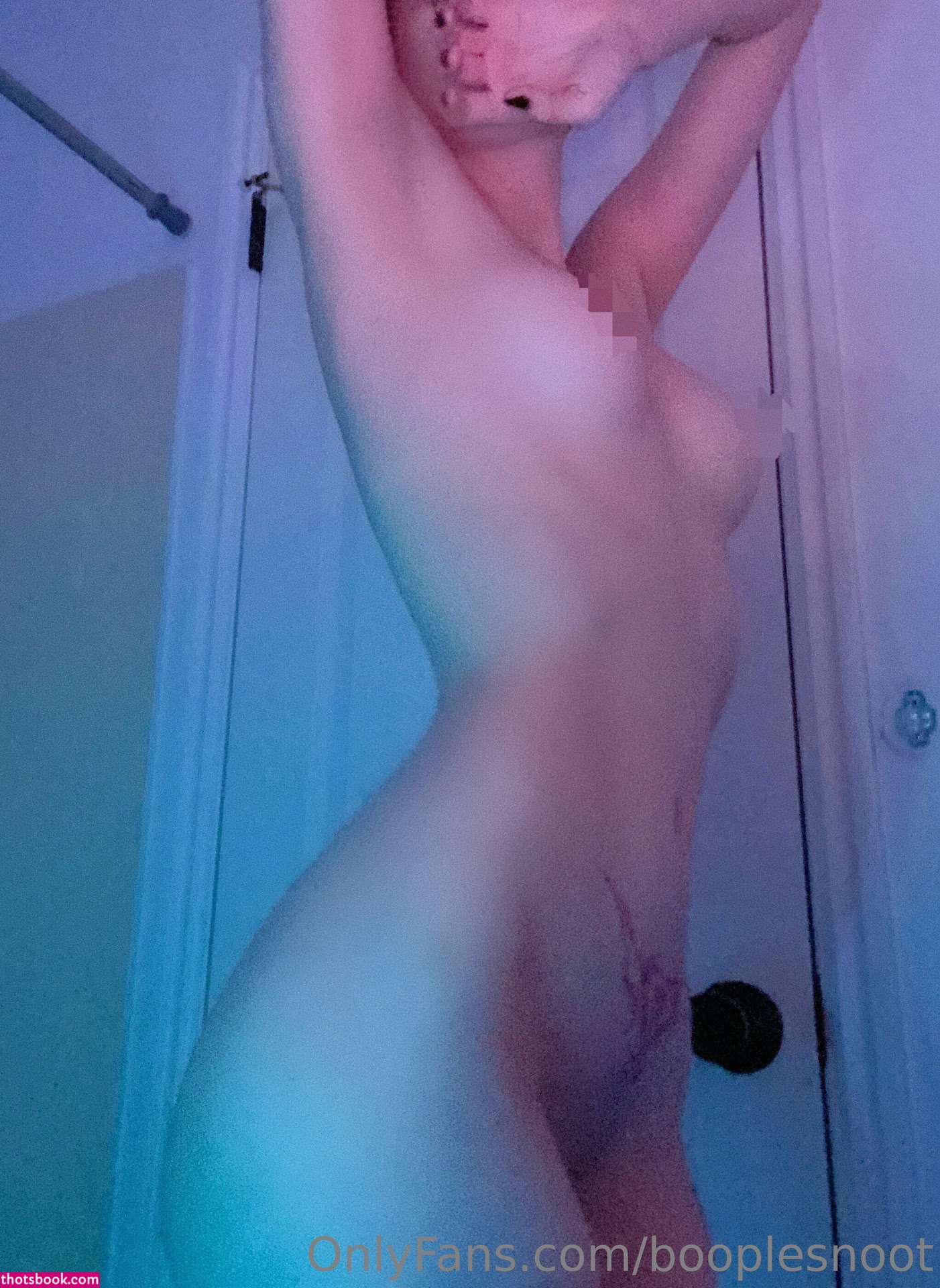 Booplesnoot Nude OnlyFans Photos #4 748008