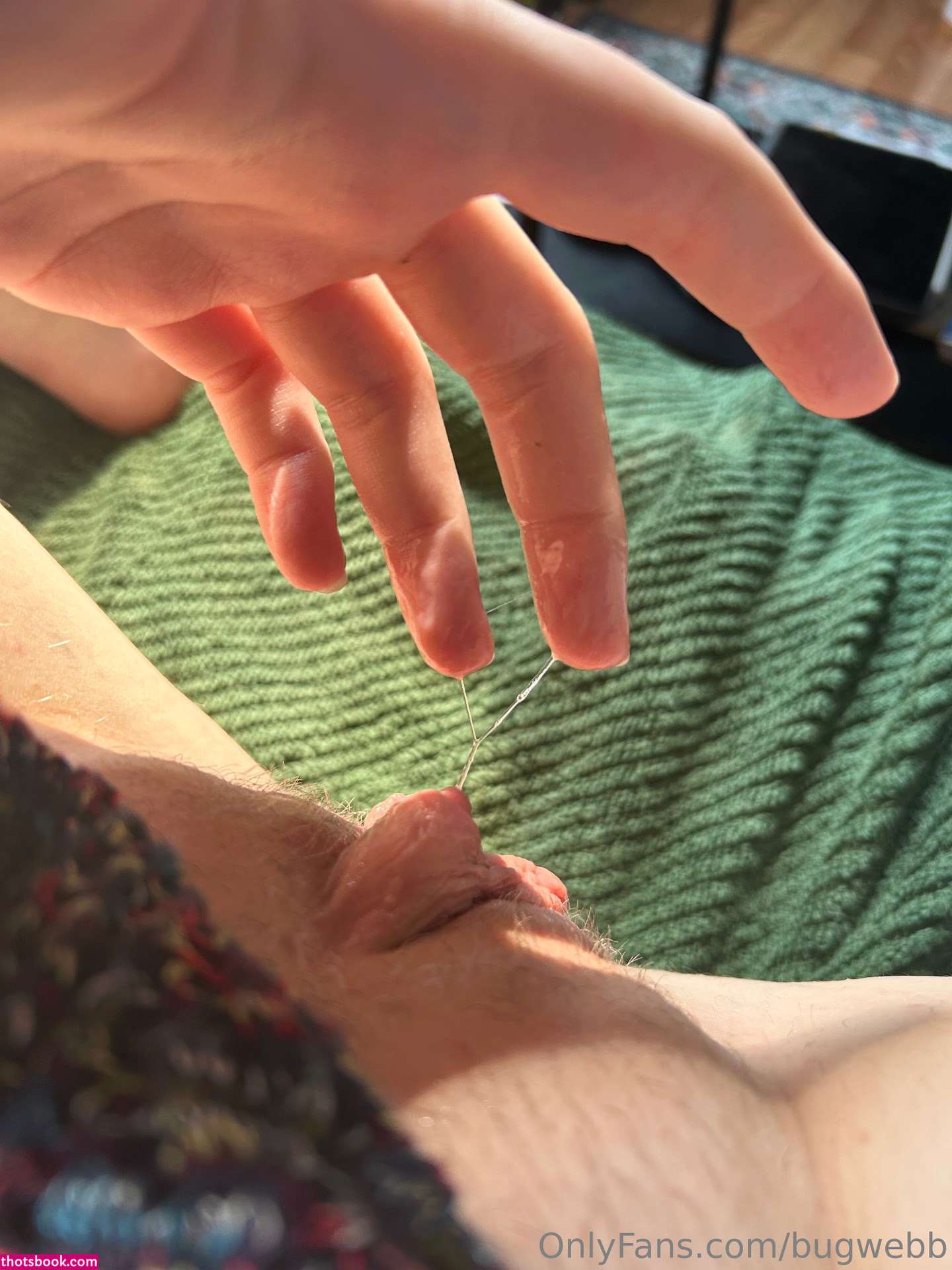 gentleewebb bugwebb Nude Leaks OnlyFans Photos #3 1578462