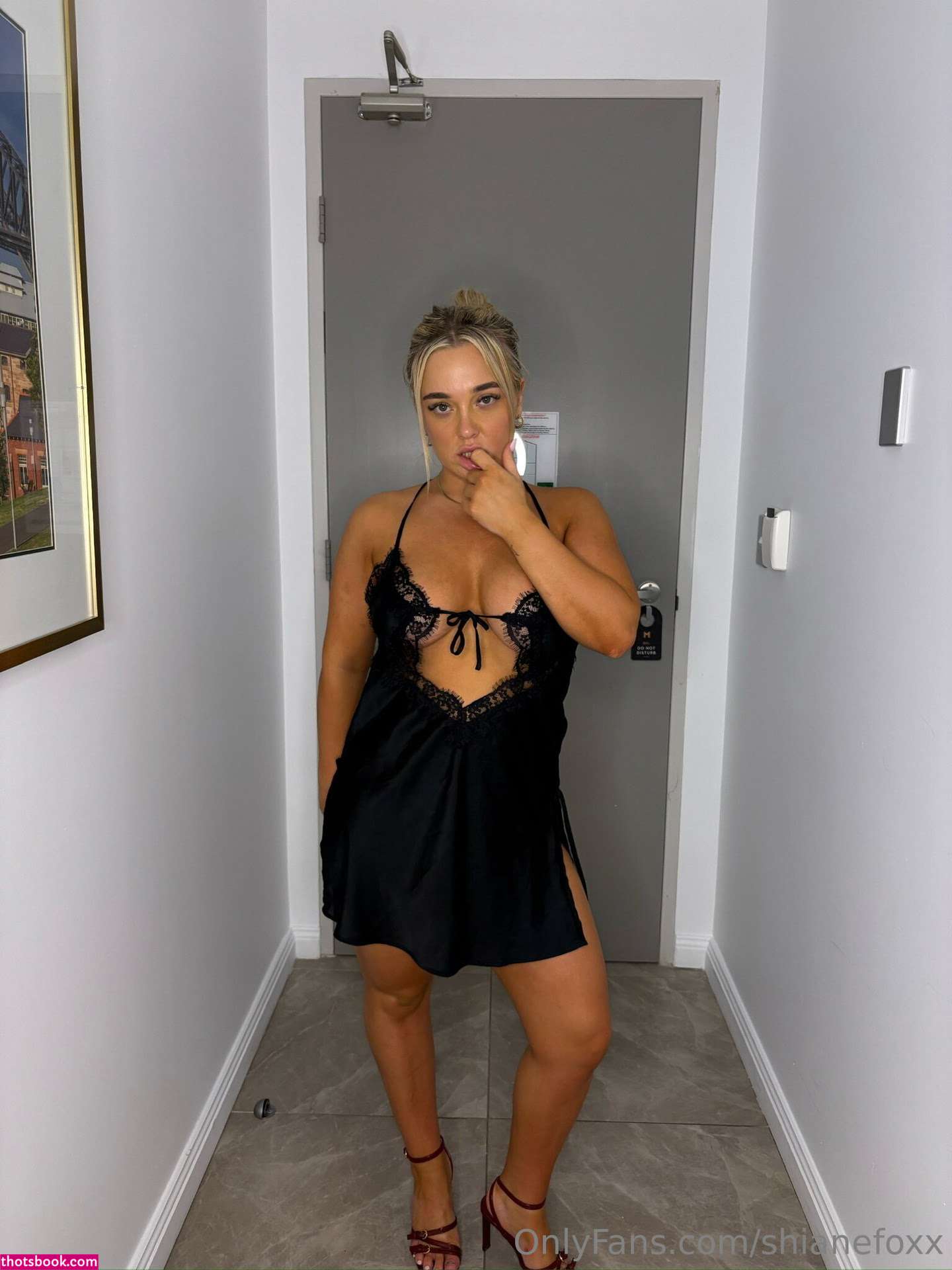 shianefoxx Nude Leaks OnlyFans Photos #6 1611428