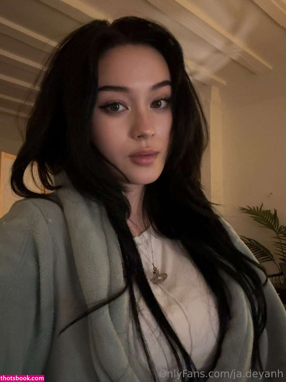 JadeyAnh vylerria Nude Leaks OnlyFans Photos #19 1624382