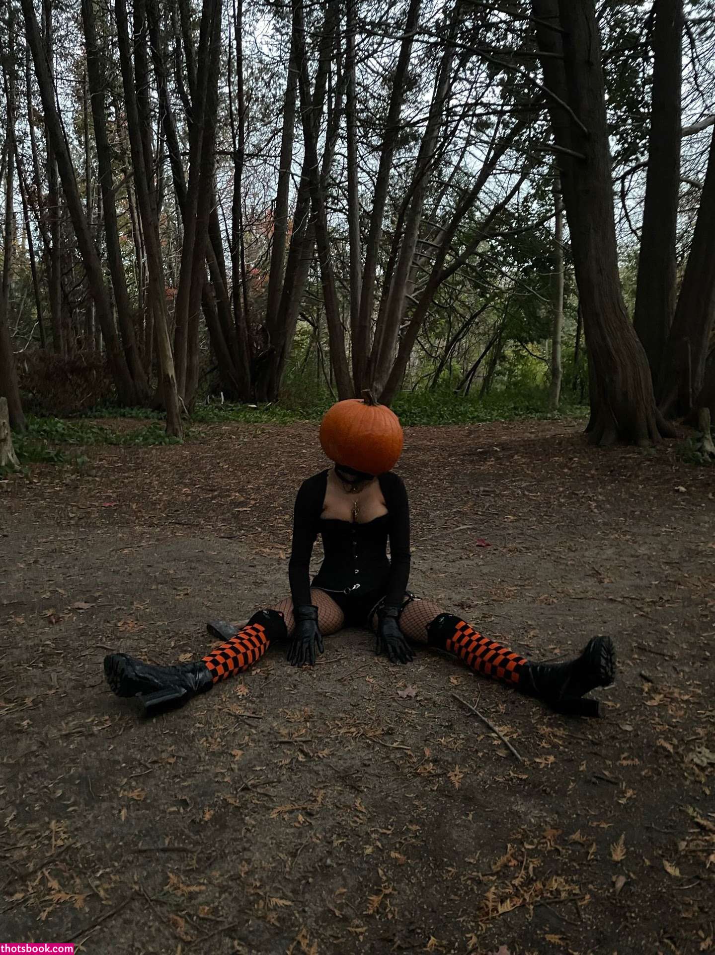 Kikuai Nude Leaks OnlyFans Photos #1 1576749