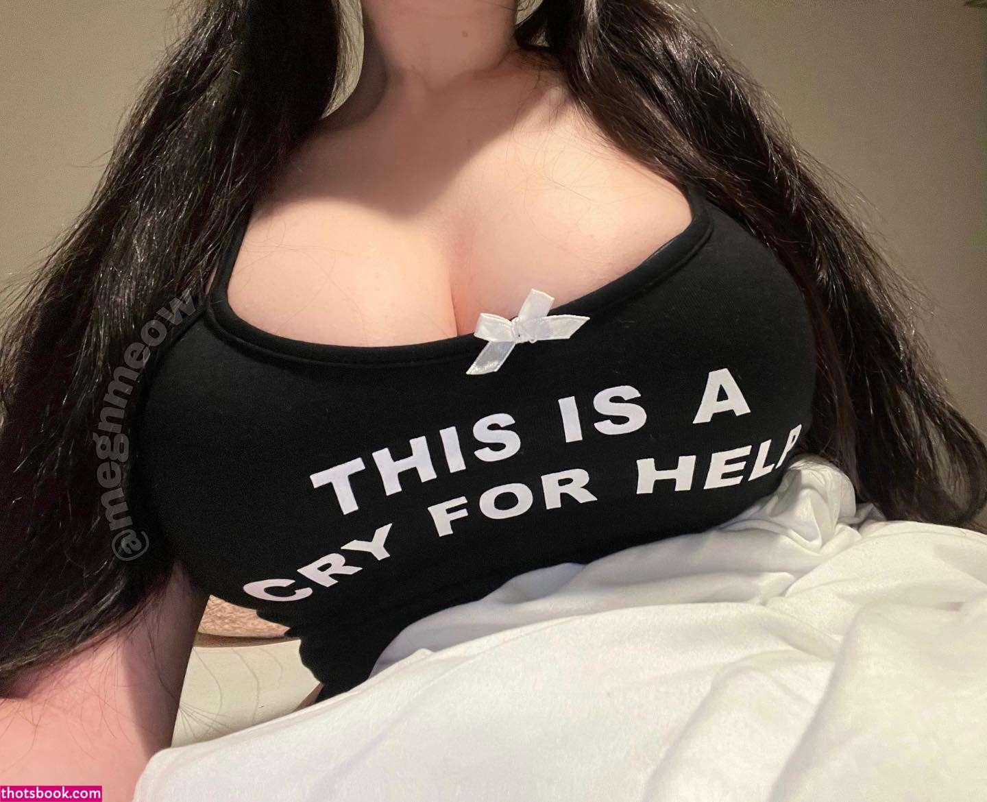 MeganRenee Nude OnlyFans Photos #11 384505