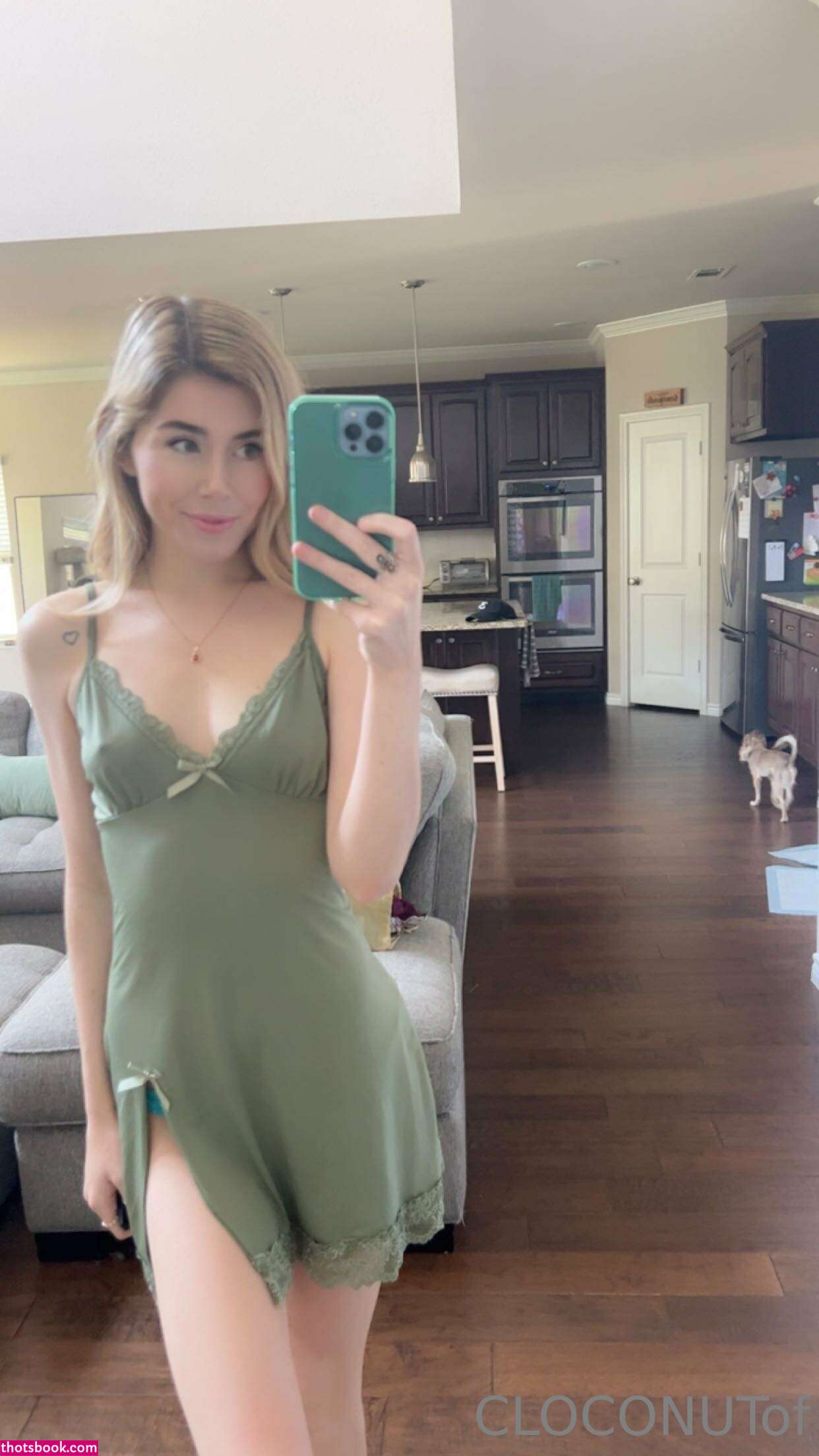 cloconut Nude OnlyFans Photos #4 400908