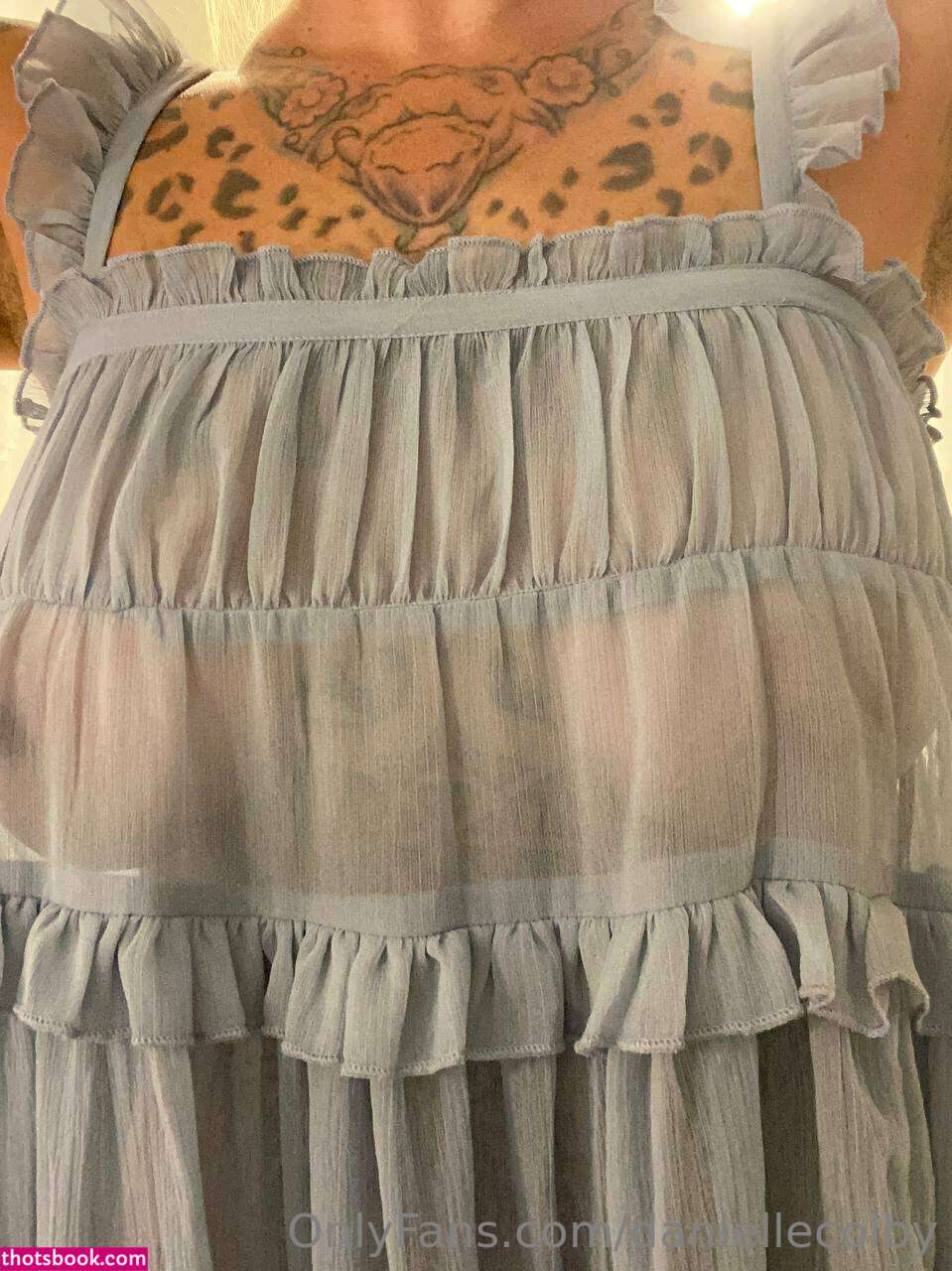 Danielle Colby Nude OnlyFans Photos #9 402151