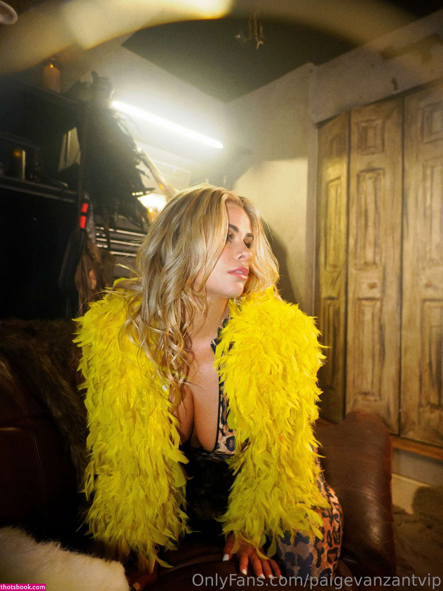 Paige Vanzant Nude OnlyFans Photos #36 411736