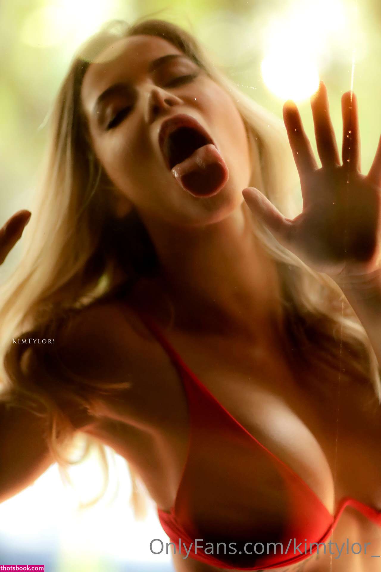 KimTylor Nude OnlyFans Photos #15 392907