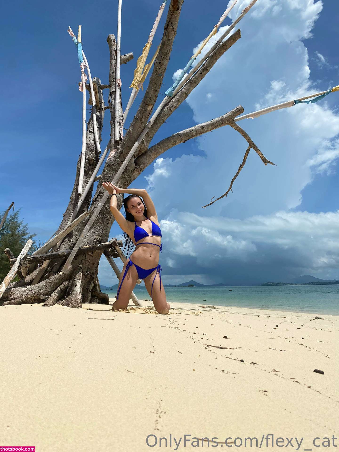 FlexyCat Nude OnlyFans Photos #4 380111