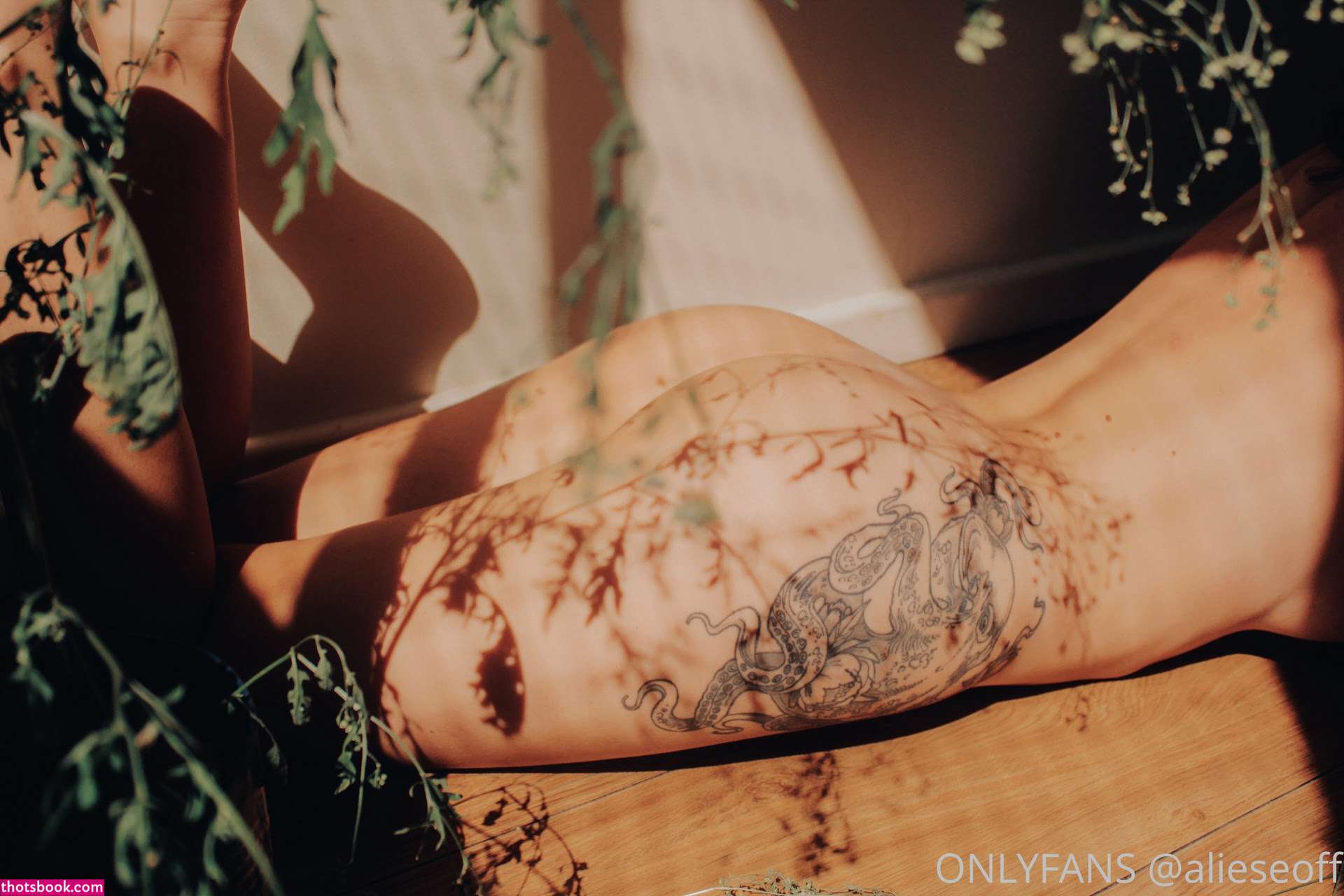 Aliese alieseoff Nude OnlyFans Photos #1 389801