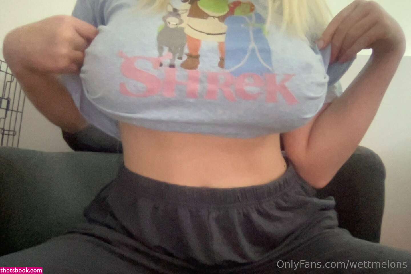 WettMelons Nude OnlyFans Photos #34 407162