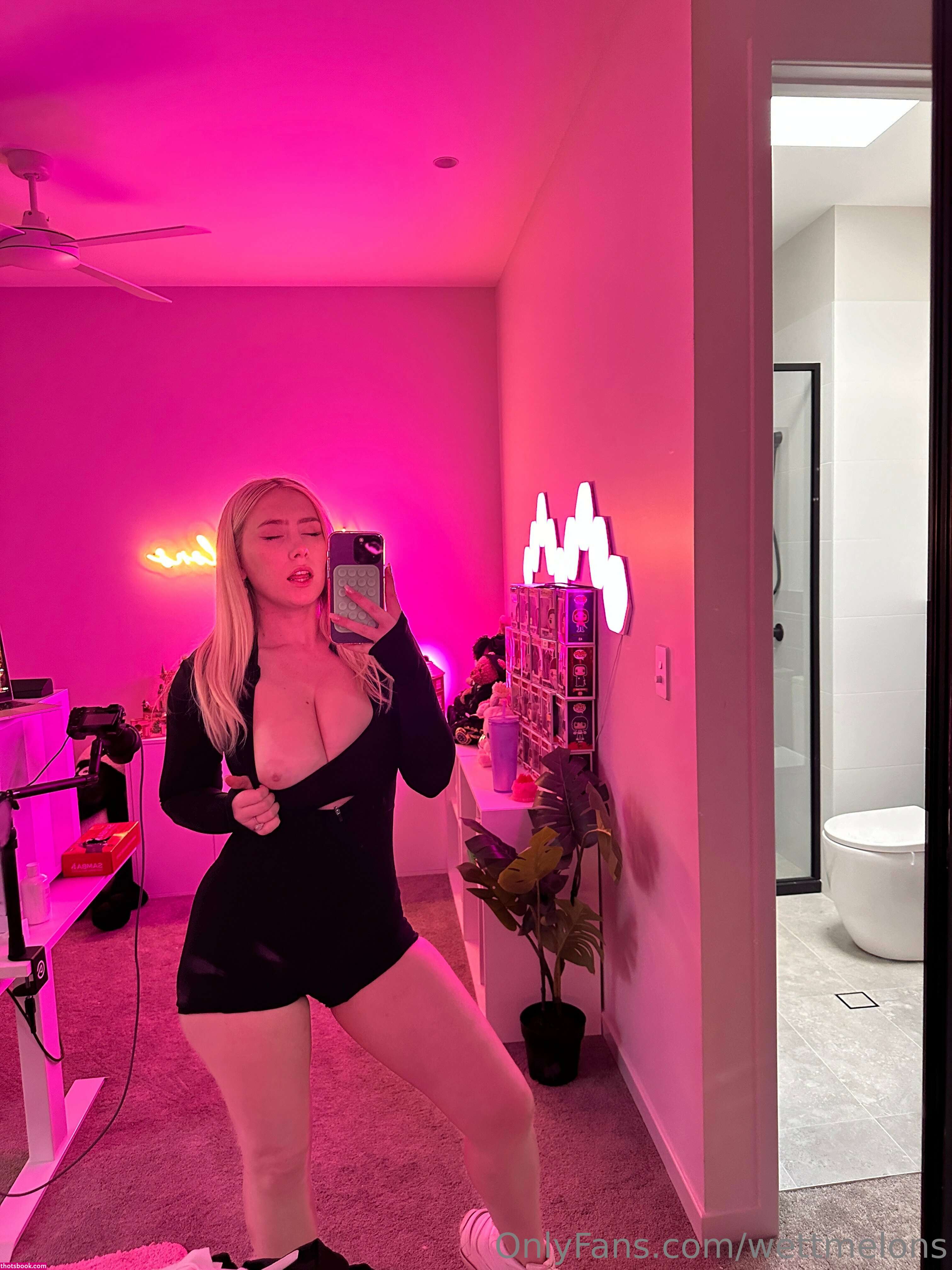 WettMelons Nude OnlyFans Photos #36 407877