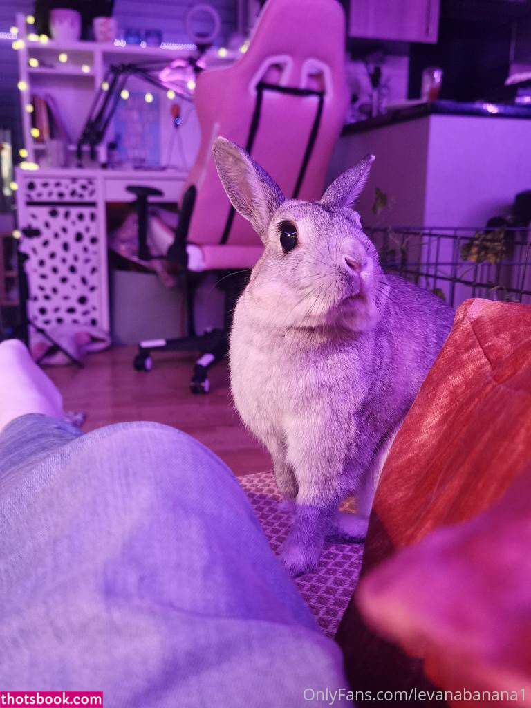 Levana Banana Nude OnlyFans Photos #7 1255610
