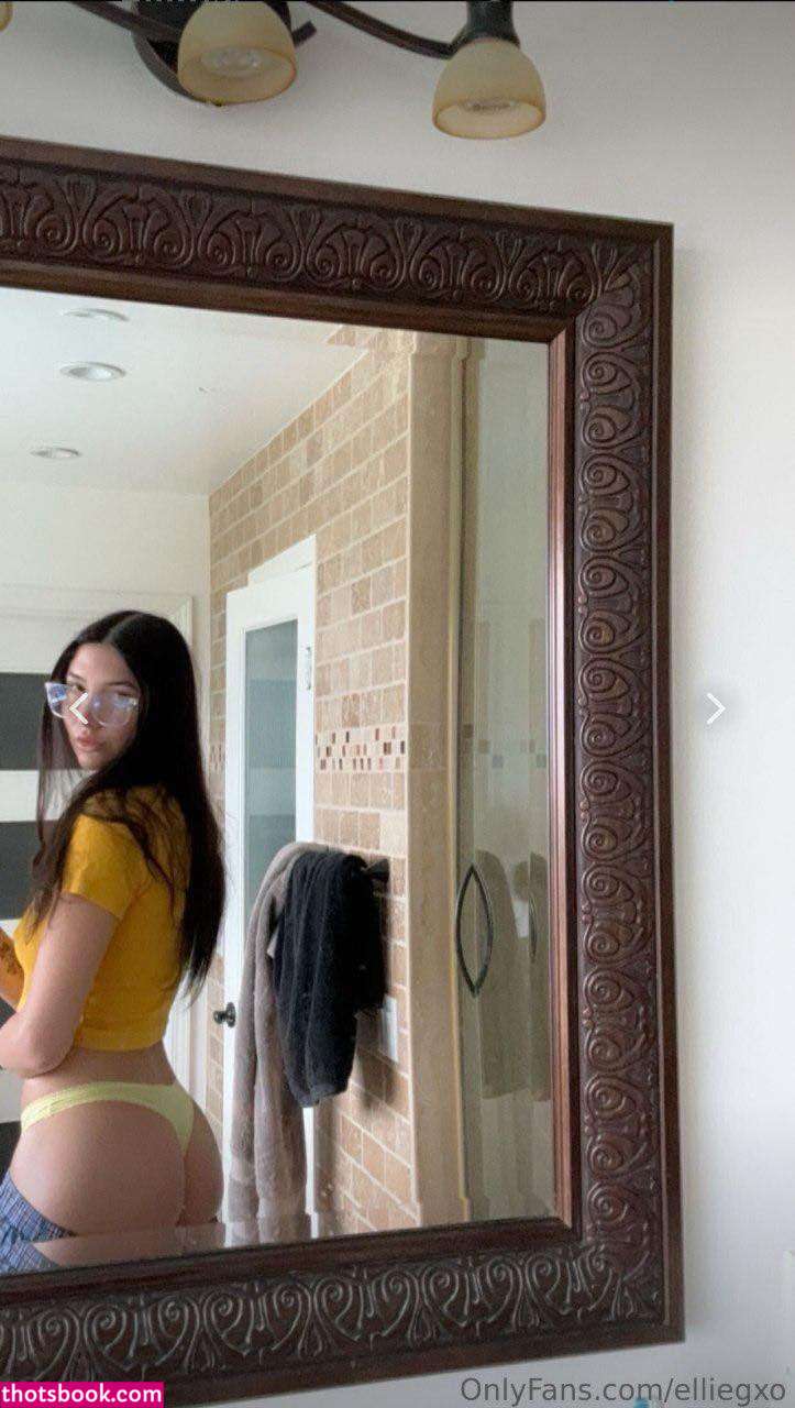 ellie vandeel Nude OnlyFans Photos #4 1233172