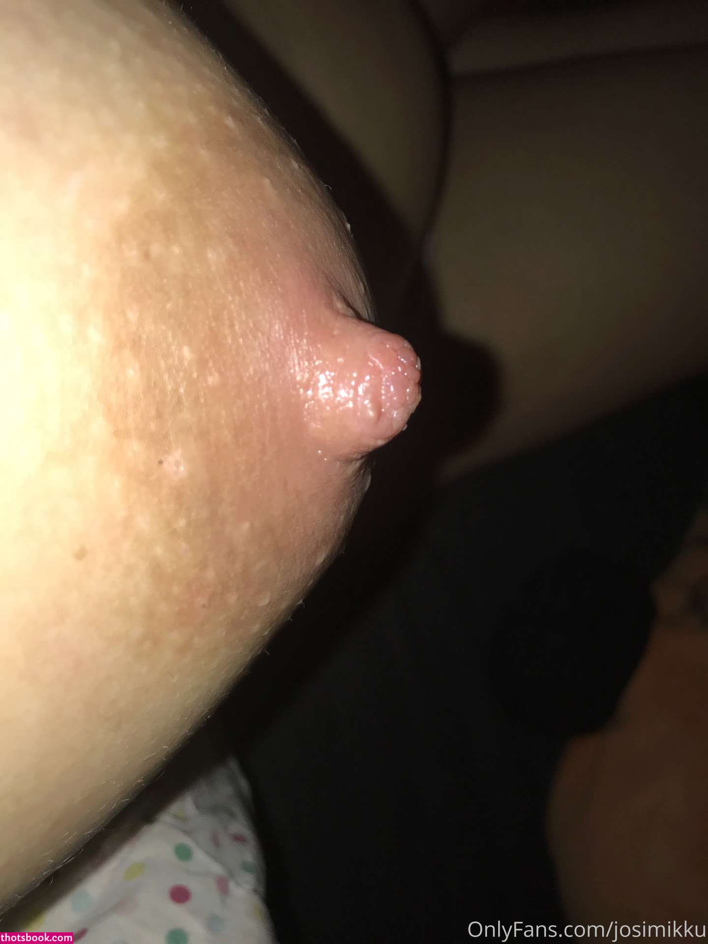 JosiMikku Nude OnlyFans Photos #6 1233413