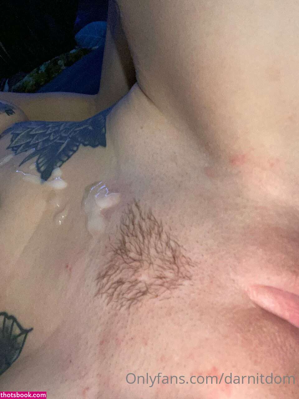 Darnit Domi Nude OnlyFans Photos #1 1186018