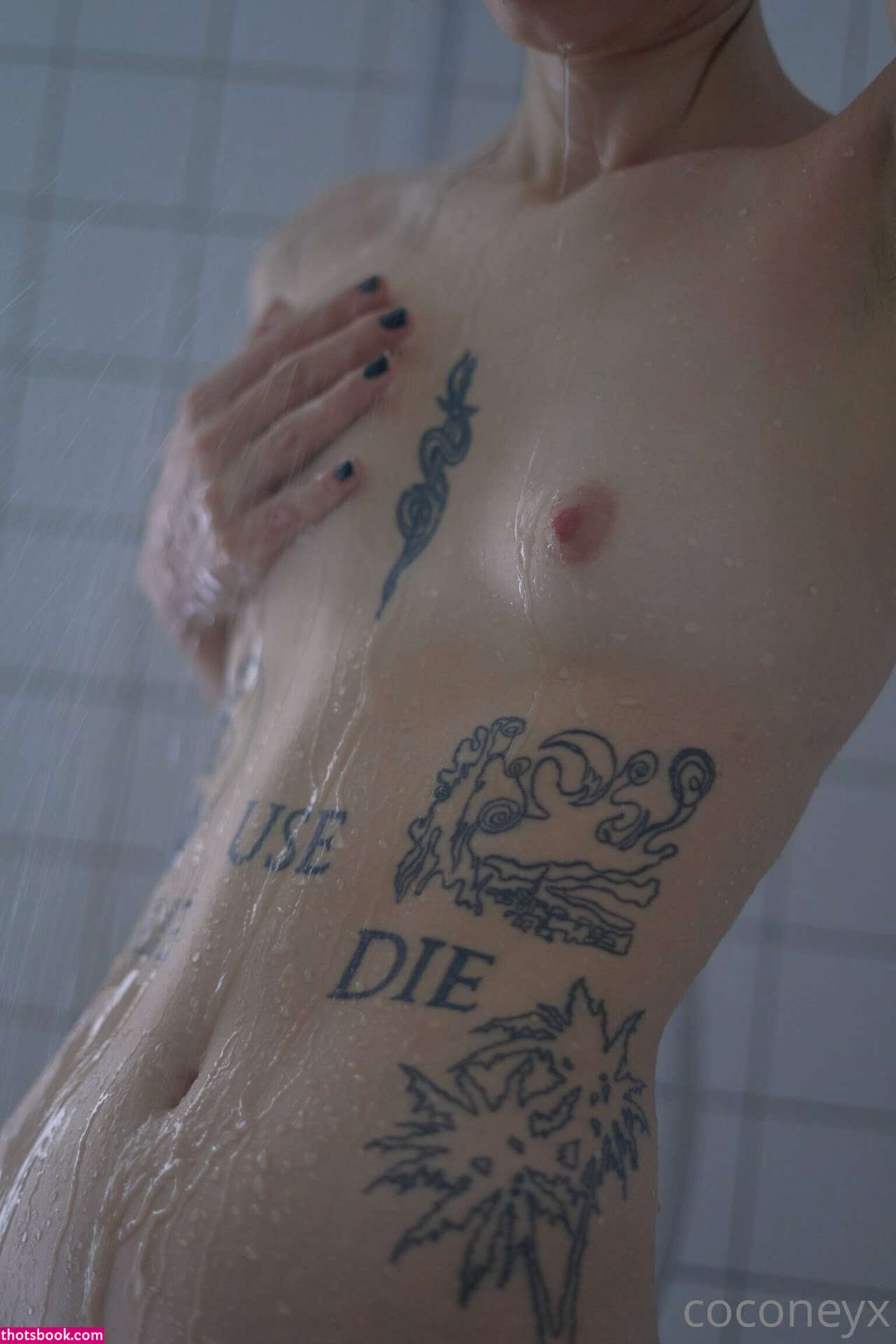 COCONEY coconeyx Nude OnlyFans Photos #9 1187090