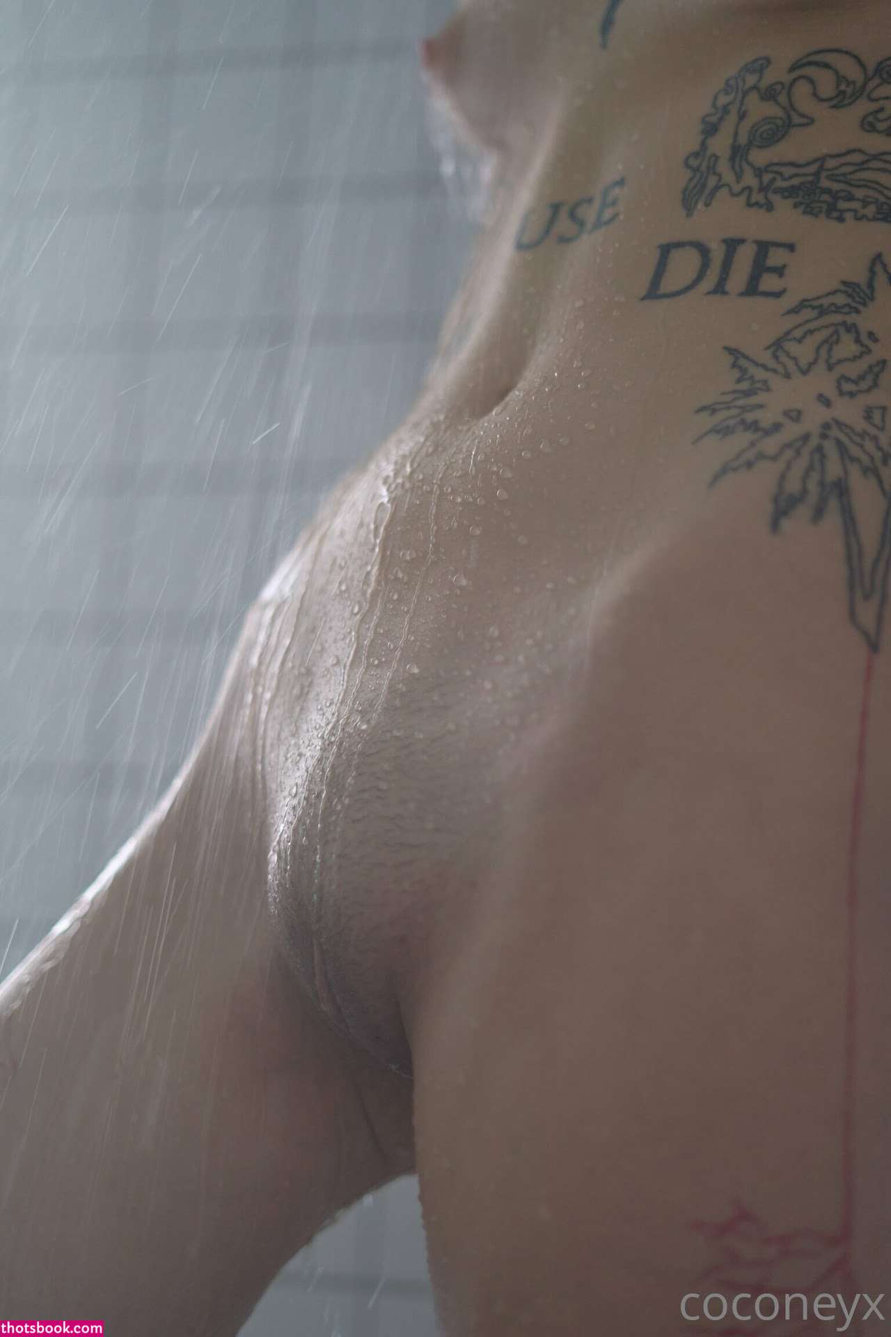 COCONEY coconeyx Nude OnlyFans Photos #9 1187095