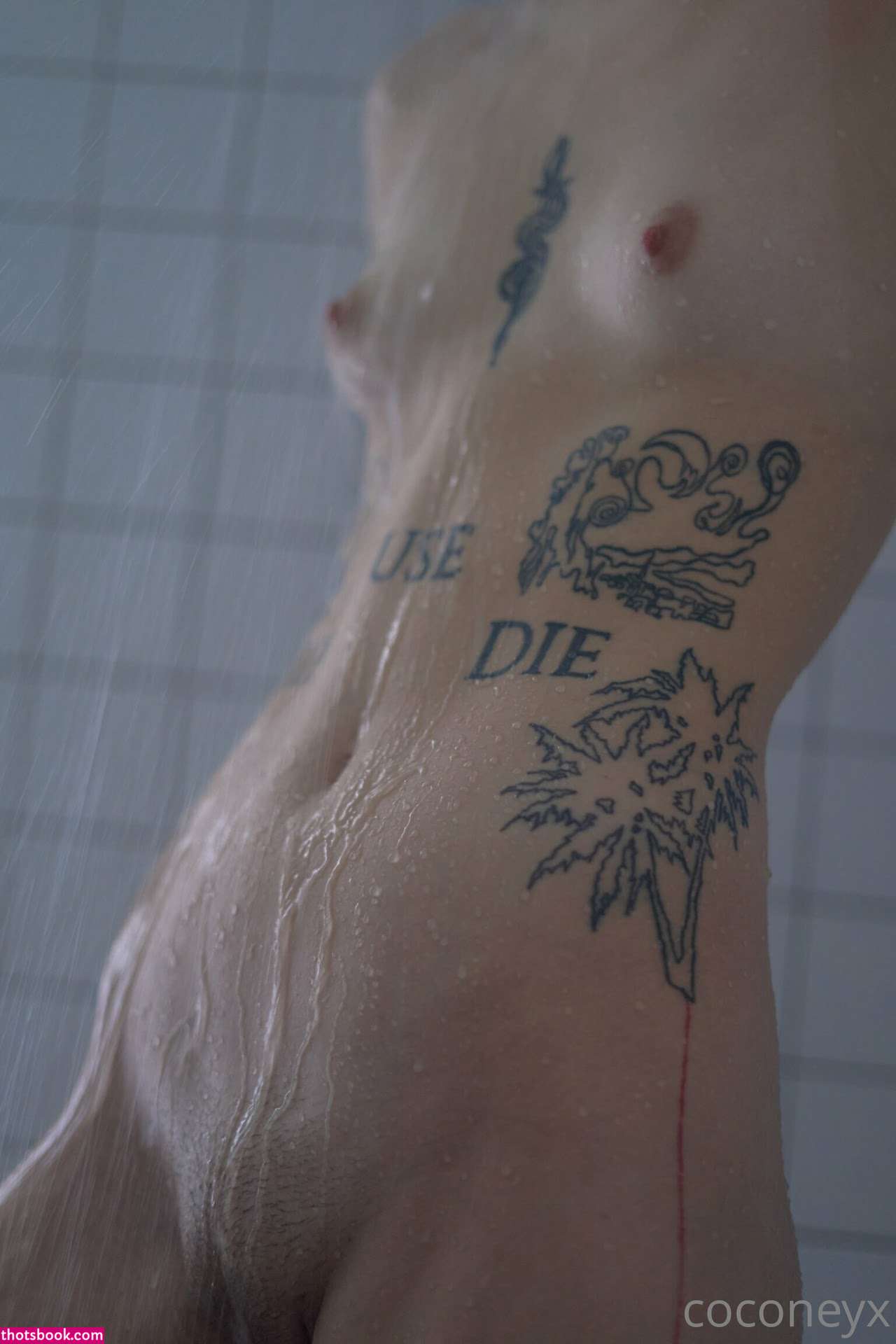 COCONEY coconeyx Nude OnlyFans Photos #9 1187098