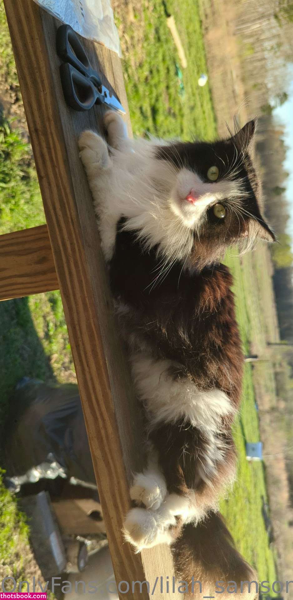 Lilah Samson Nude OnlyFans Photos #9 1189965