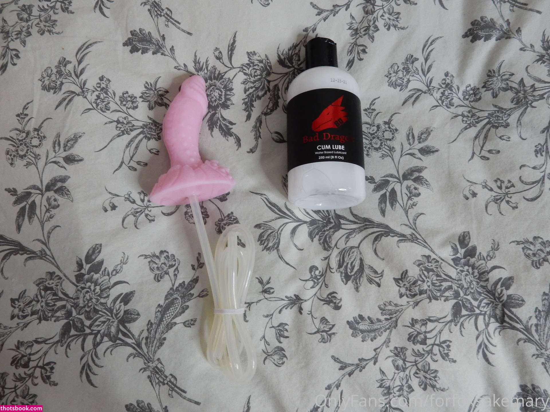 Maryanne Viau Forfoxsakemary Nude OnlyFans Photos #13 1190312