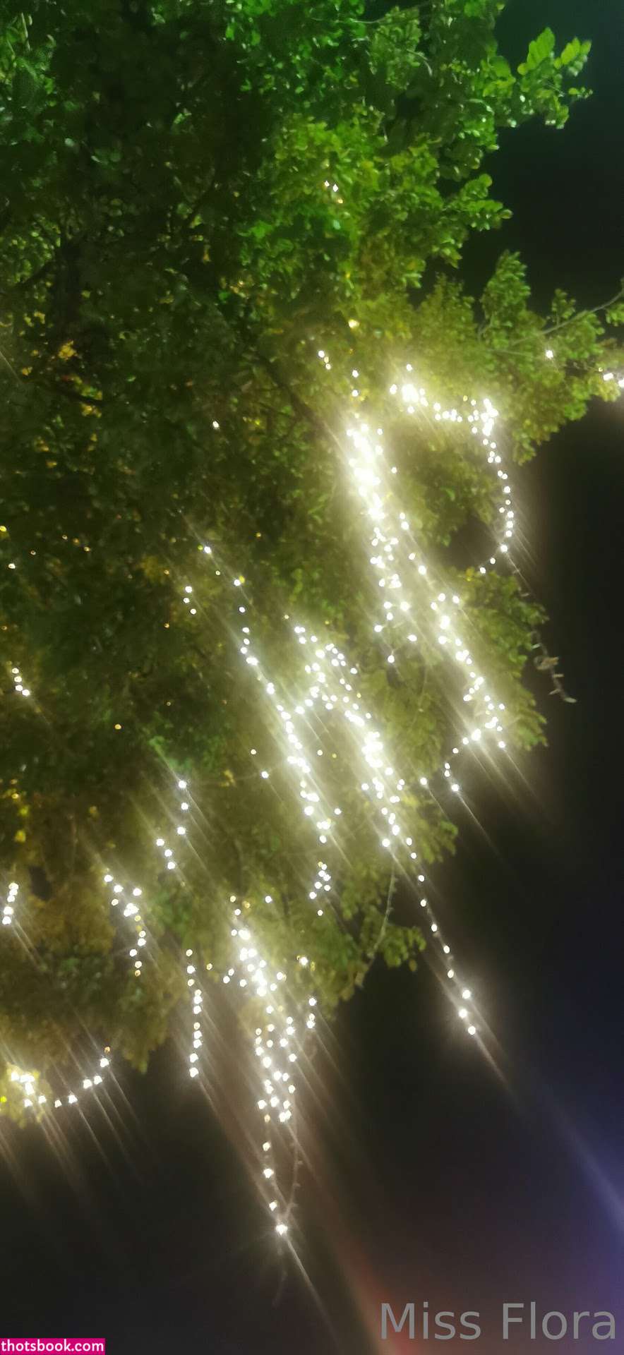 Miss Flora Femdom Miss Flora Berlin Nude OnlyFans Photos #8 1190860