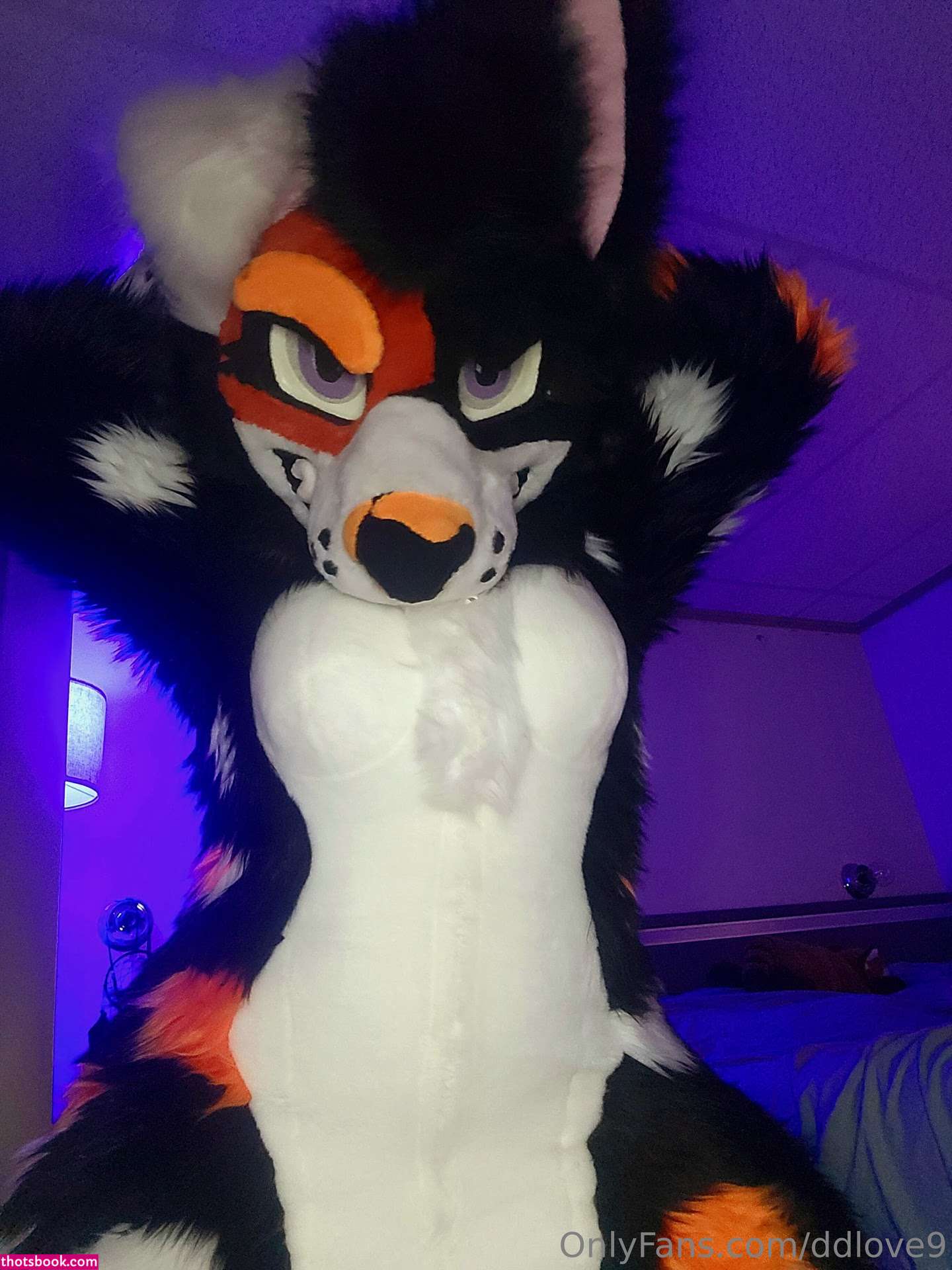 Diamondlove666 Nude OnlyFans Photos #5 1230160