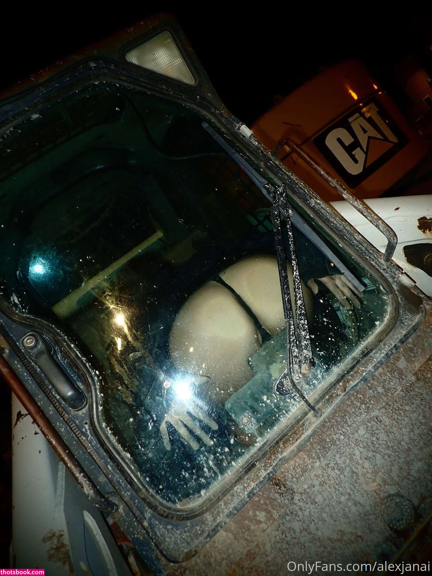 Alex Janai Nude OnlyFans Photos #15 1231047