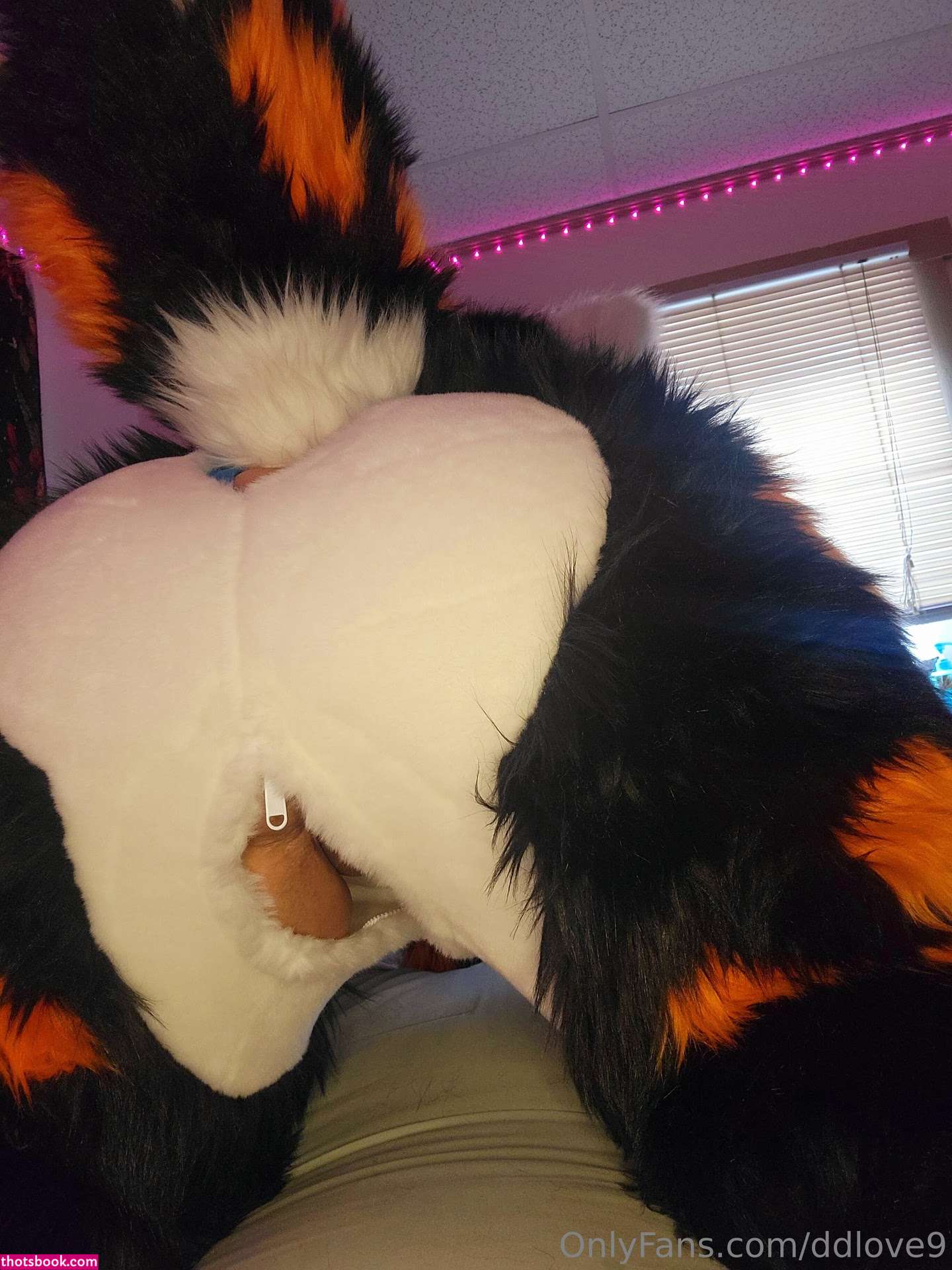 Diamondlove666 Nude OnlyFans Photos #12 1231994