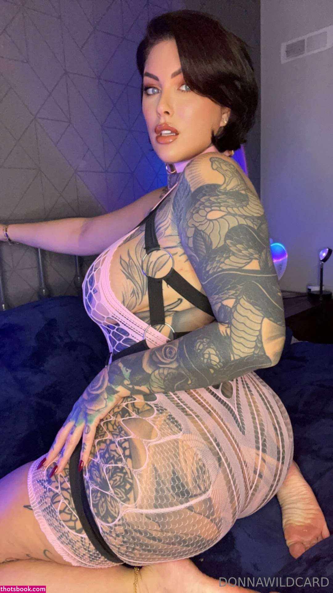 Donna Wildcard Nude OnlyFans Photos #34 1222774