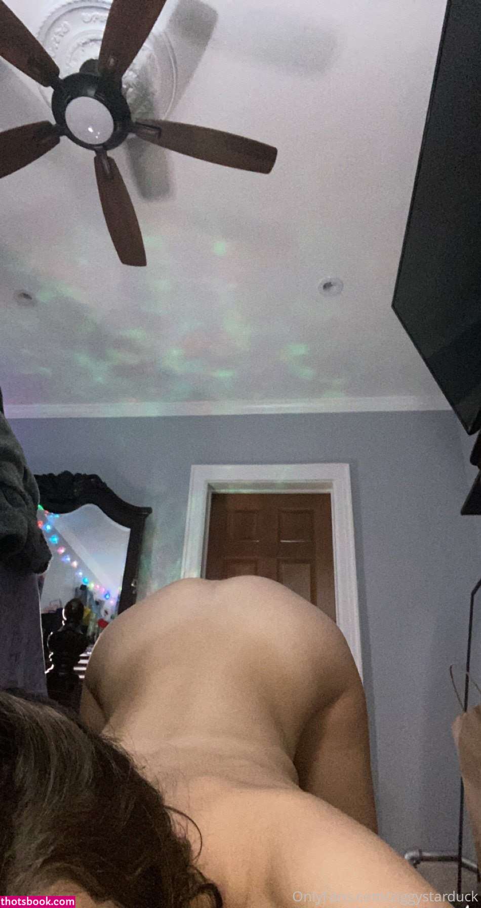 ziggystarduck Nude OnlyFans Photos #4 1196846