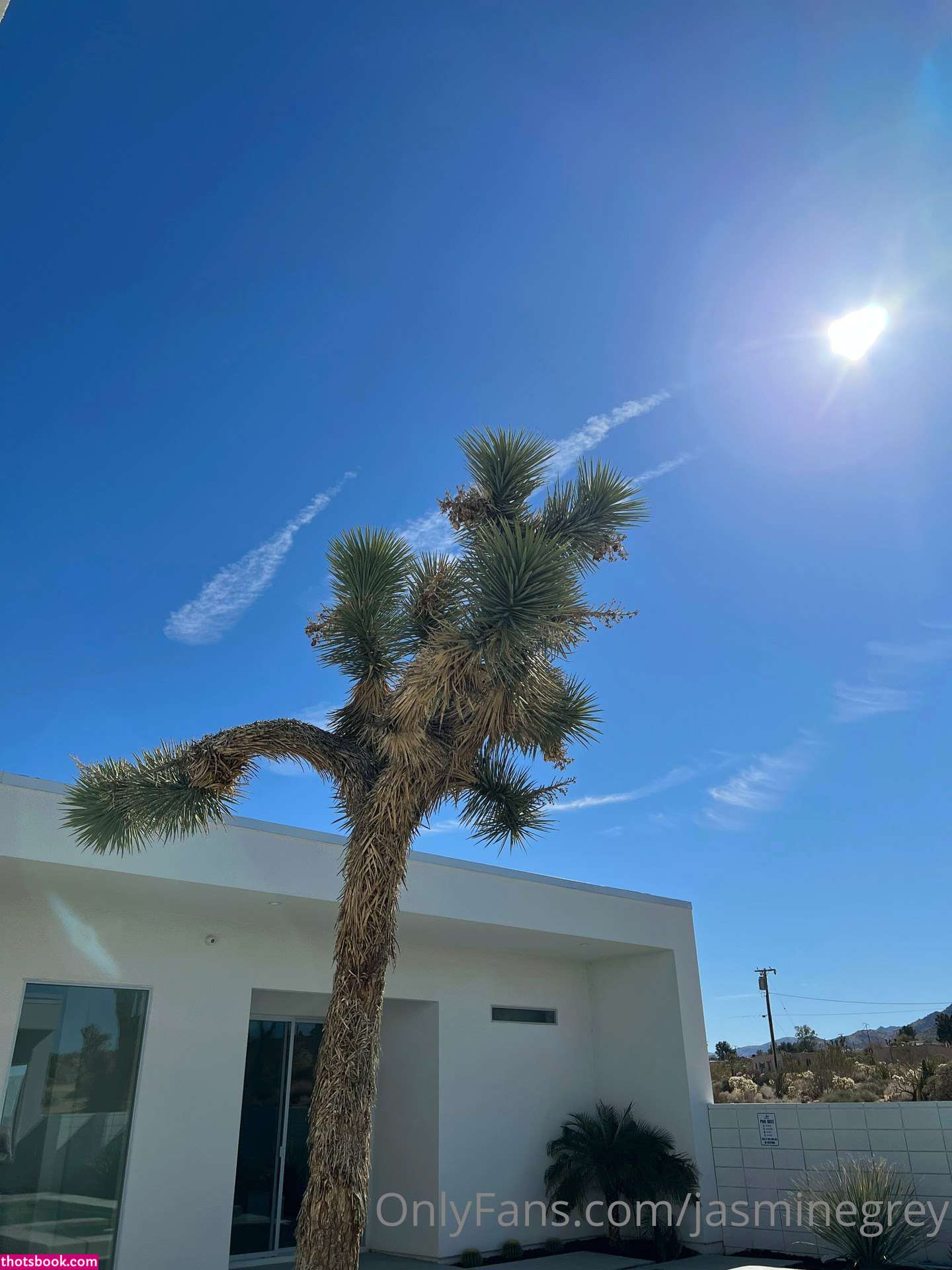 Jasmine Grey Nude OnlyFans Photos #15 1237566