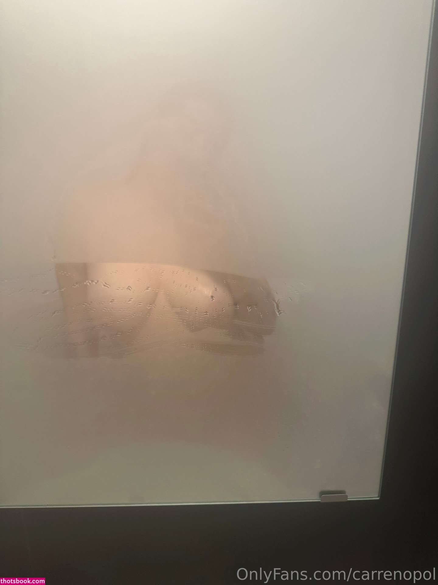 Carrenopol Nude OnlyFans Photos #10 1249658
