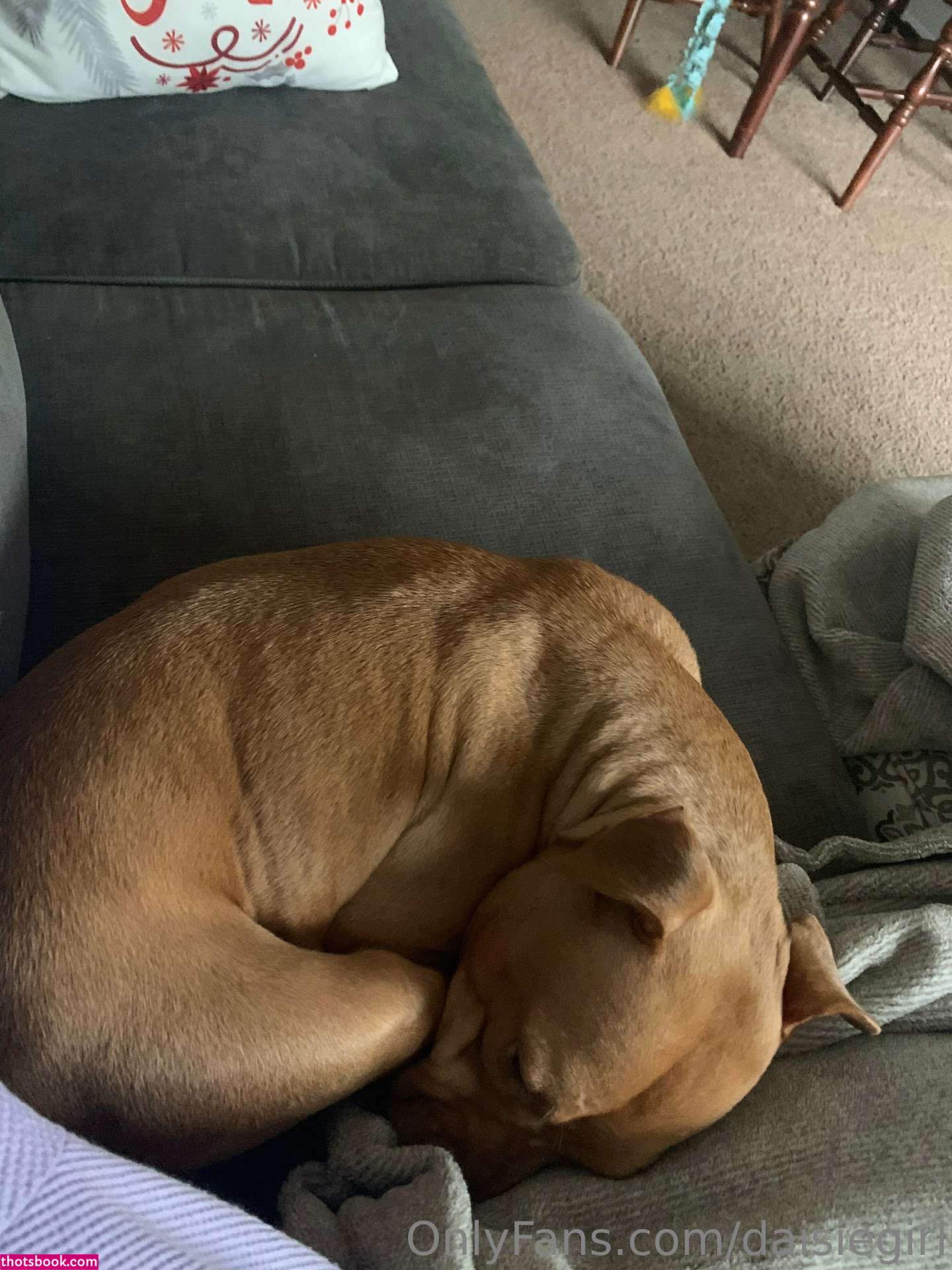 dimepiece petite wife daisiegirl Nude OnlyFans Photos #15 1200854