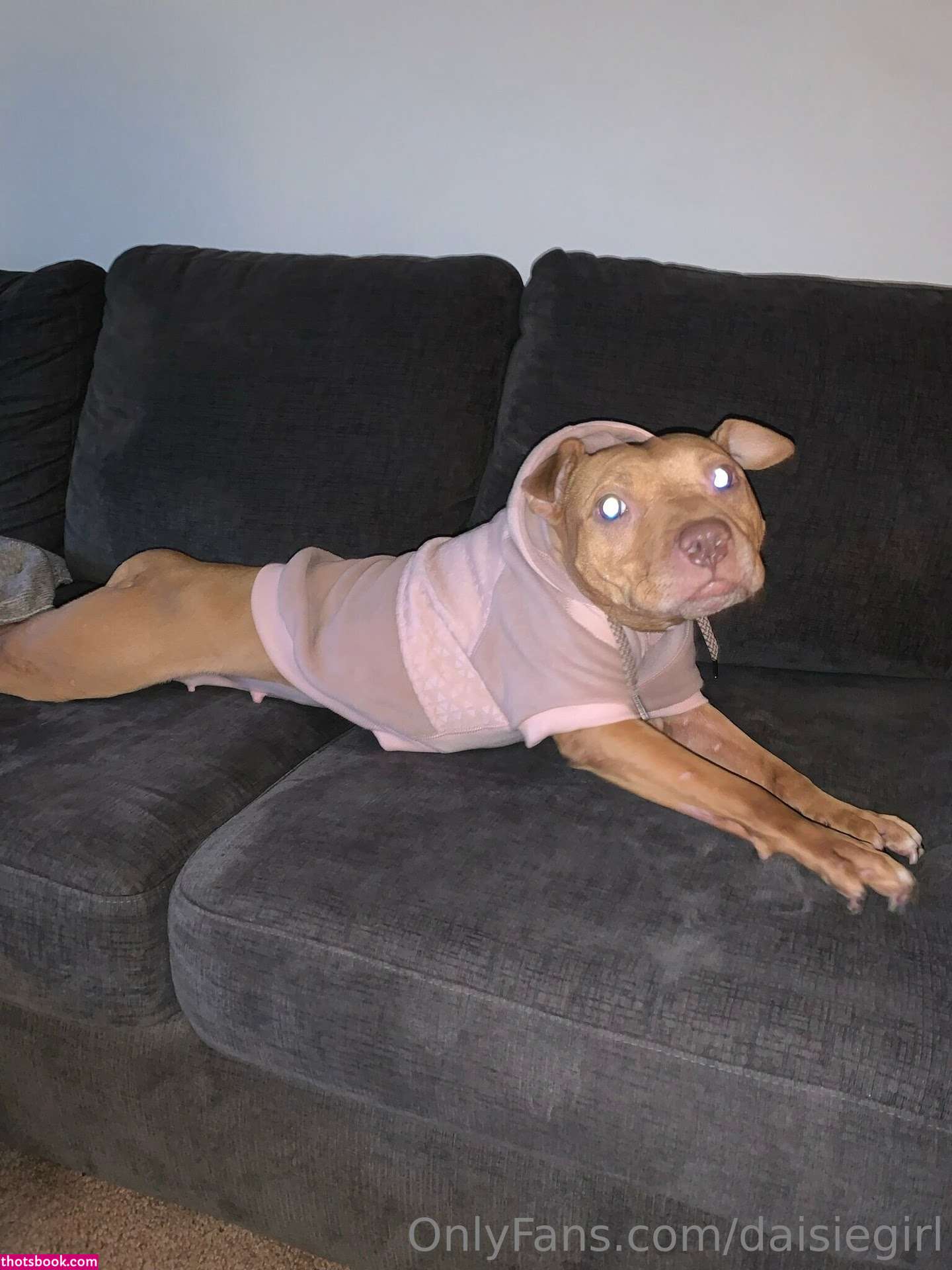 dimepiece petite wife daisiegirl Nude OnlyFans Photos #15 1200887