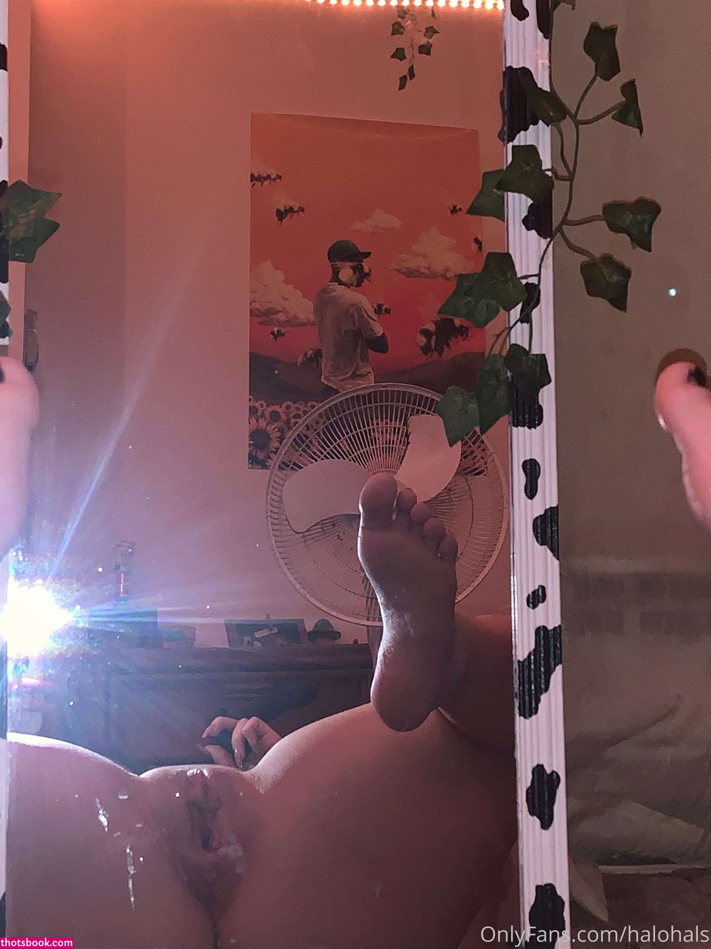 HaloHals DabOfHalo Nude OnlyFans Photos #9 1252298